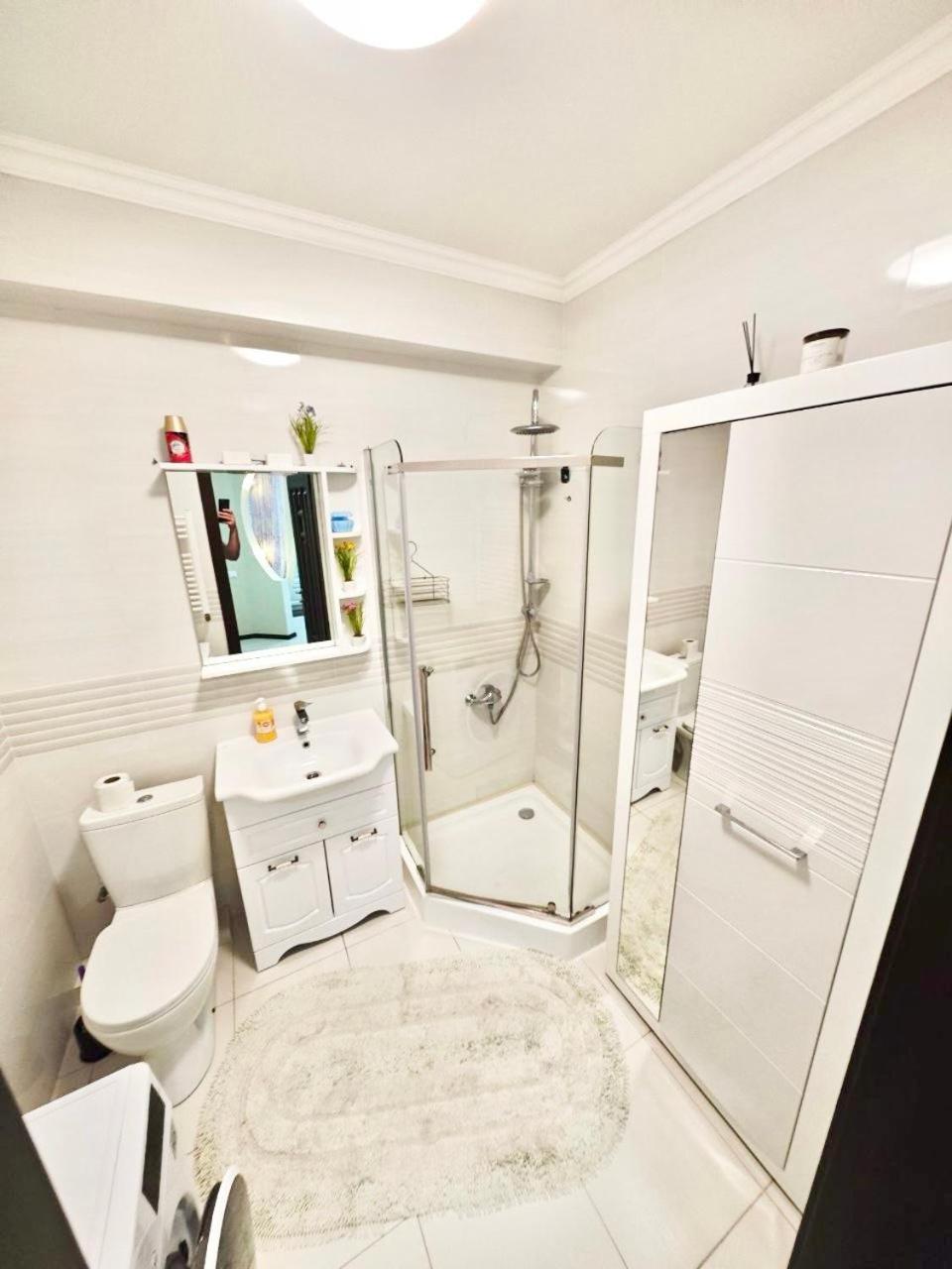 Park view apartament
