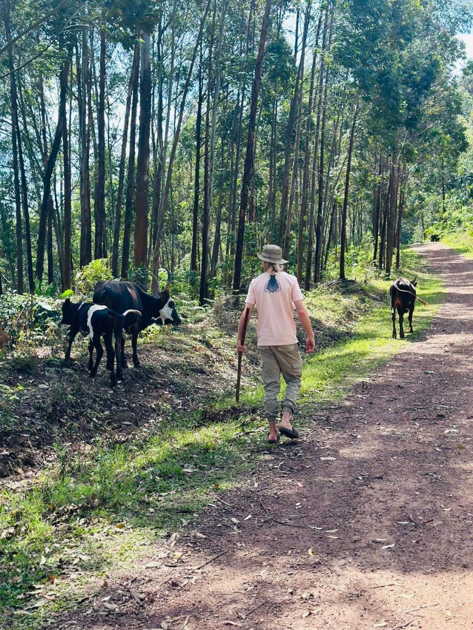 Bwindi Neckview Lodge