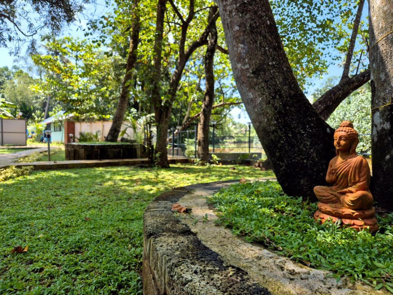Anandam Backwaters Retreat view 2
