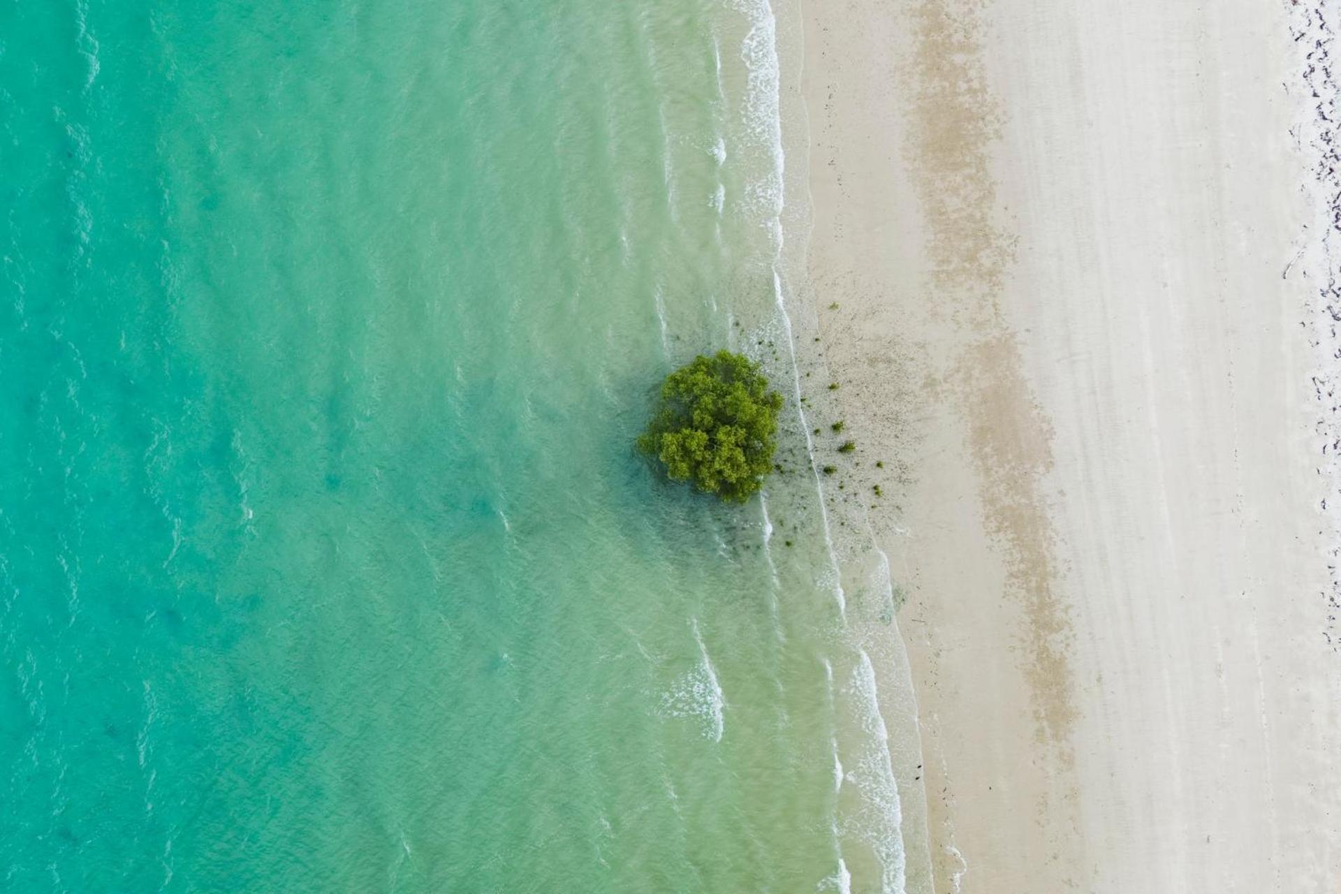 Cable Beach Vacations - The Beachwood Nest - Property Image 6