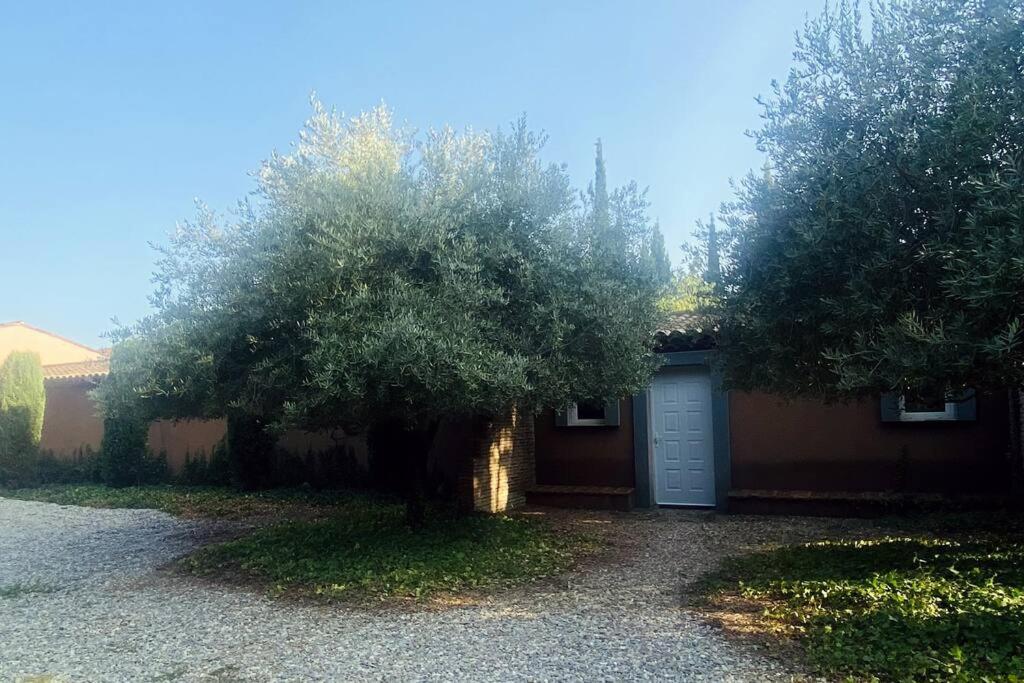 Studio Soléa - Studio 2 - 4 personnes - Domaine Astra, Grans