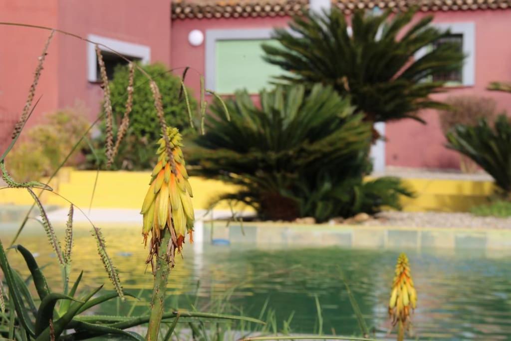 Studio Soléa - Studio 2 - 4 personnes - Domaine Astra, Grans