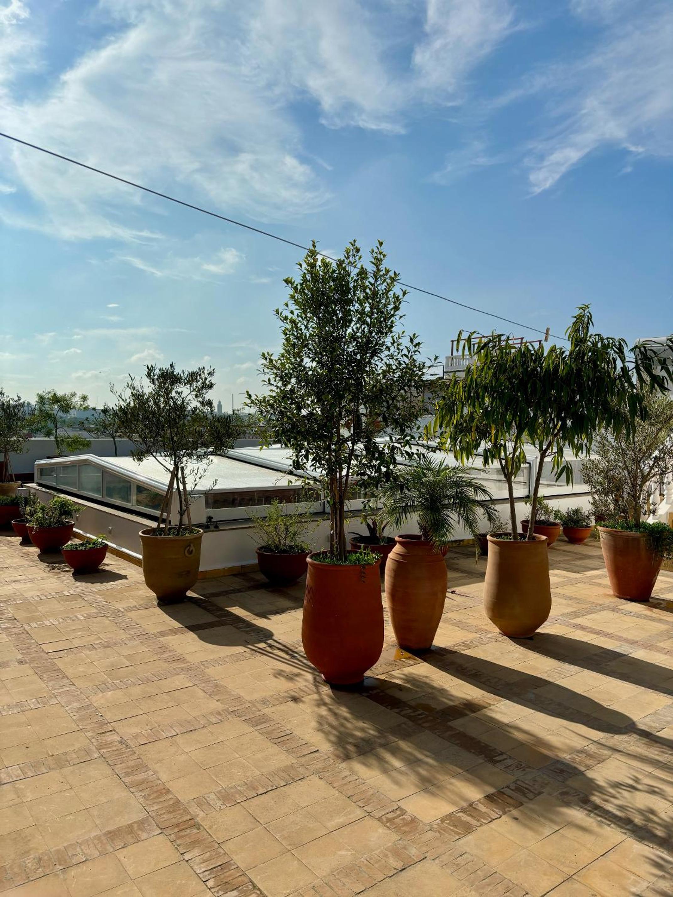 roof