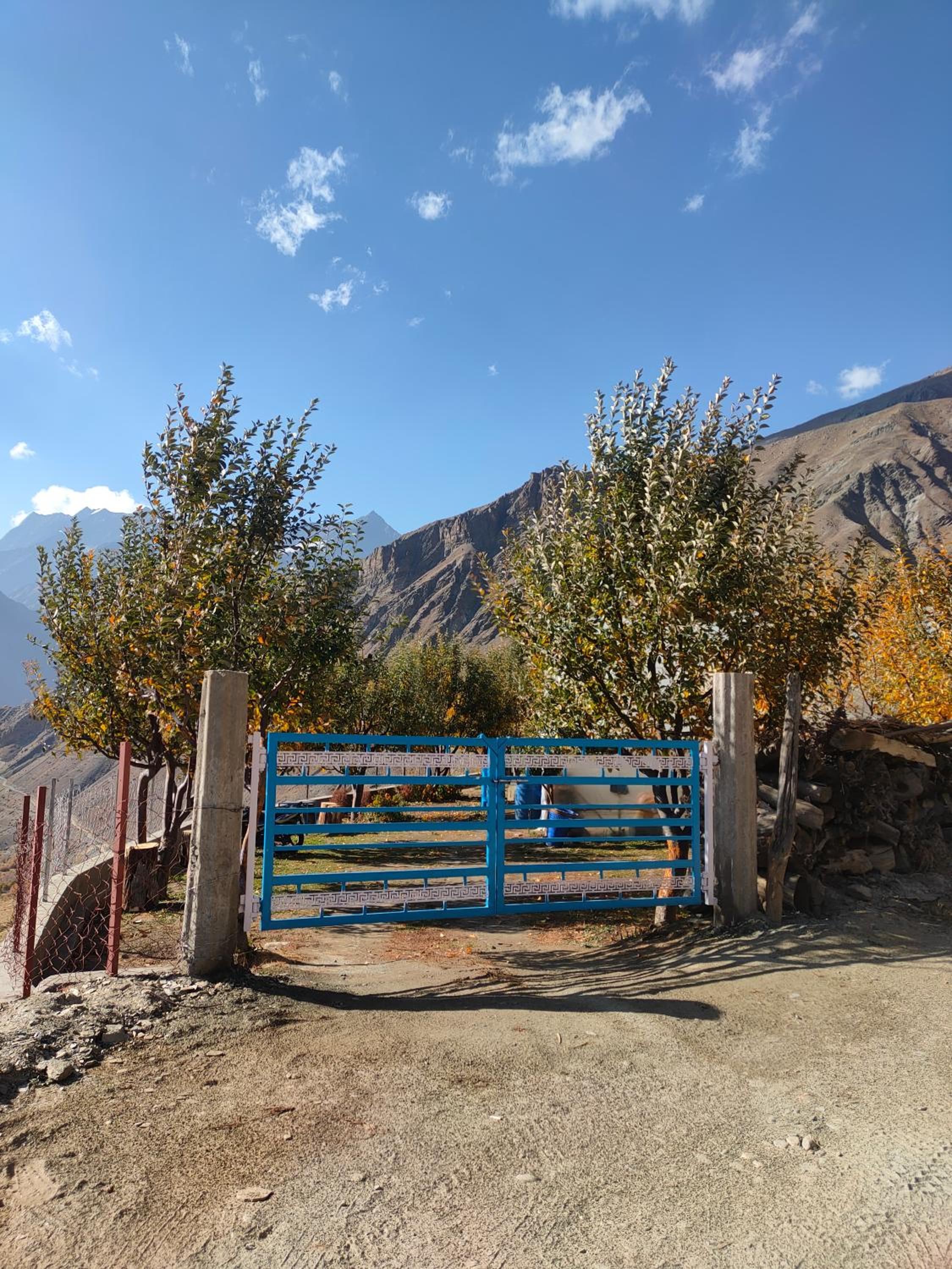 Valley View Homestay Lahaul