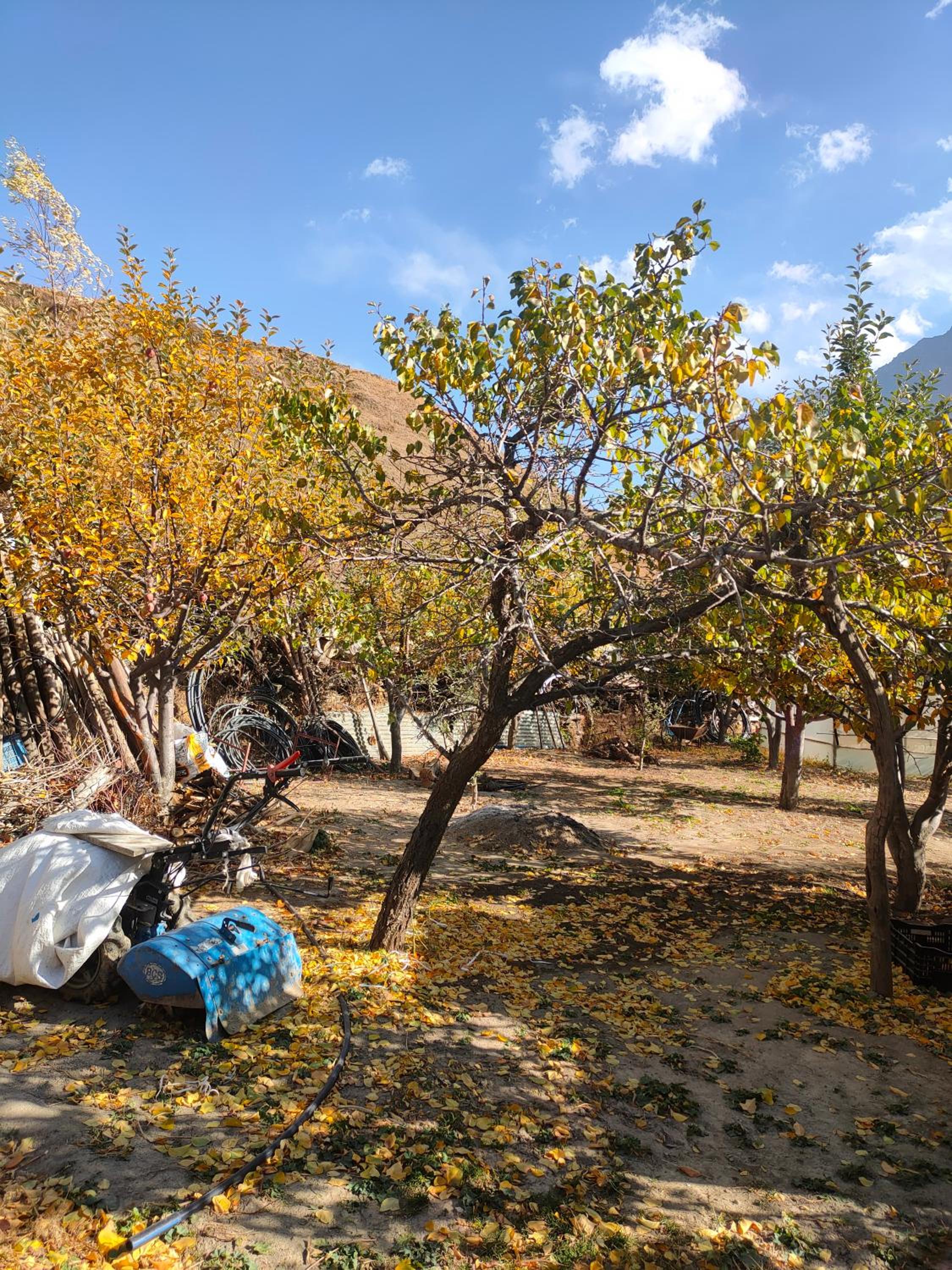 Valley View Homestay Lahaul