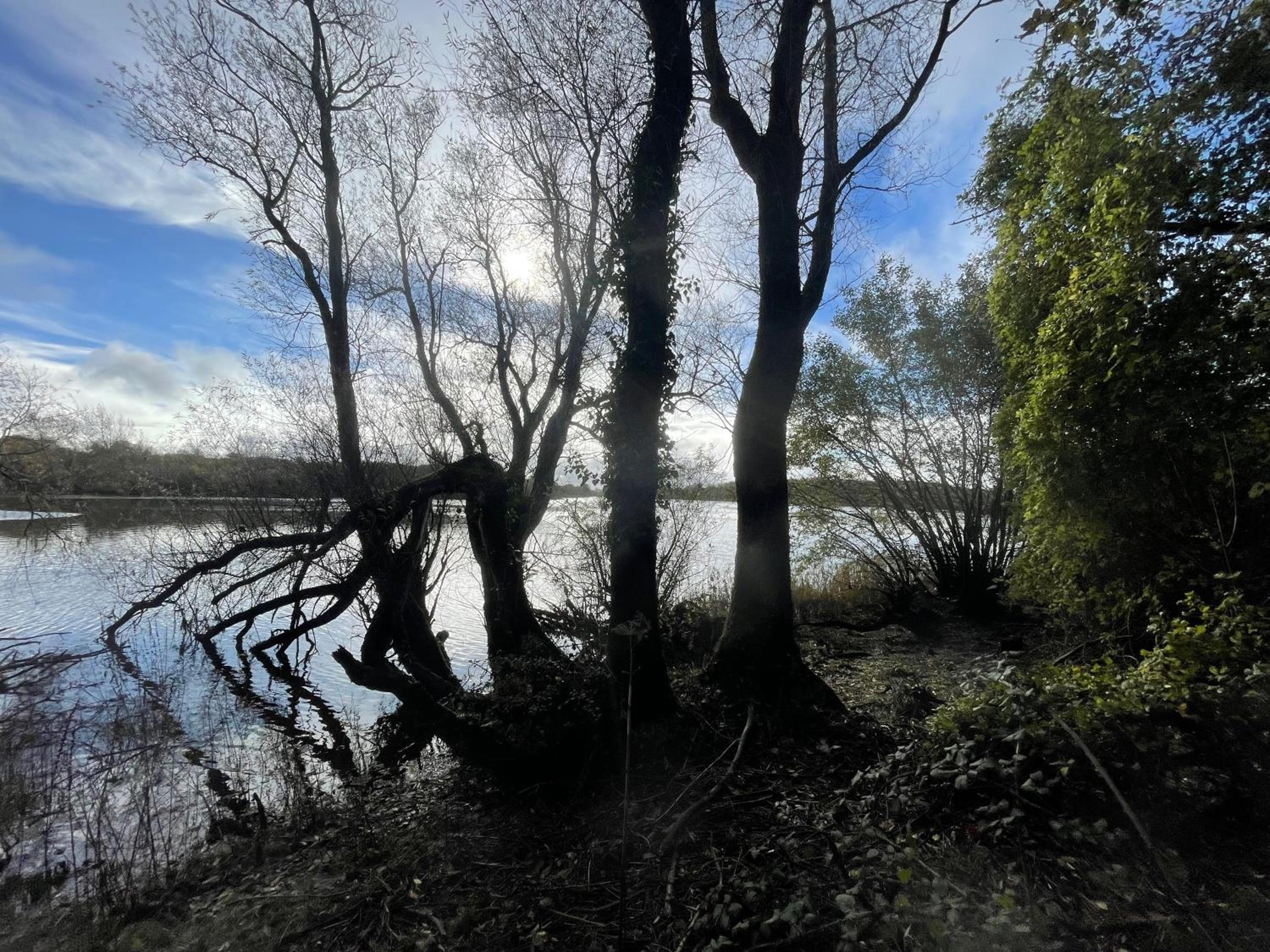 Photo 45
