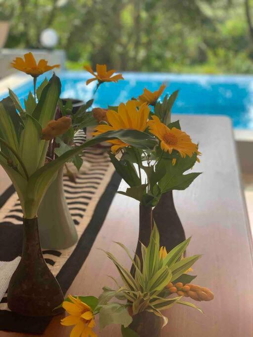 Monara Retreat Villa Induruwa