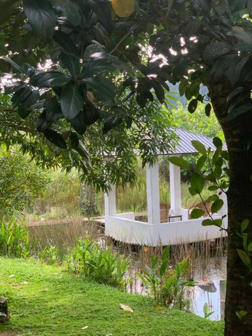 Monara Retreat Villa Induruwa