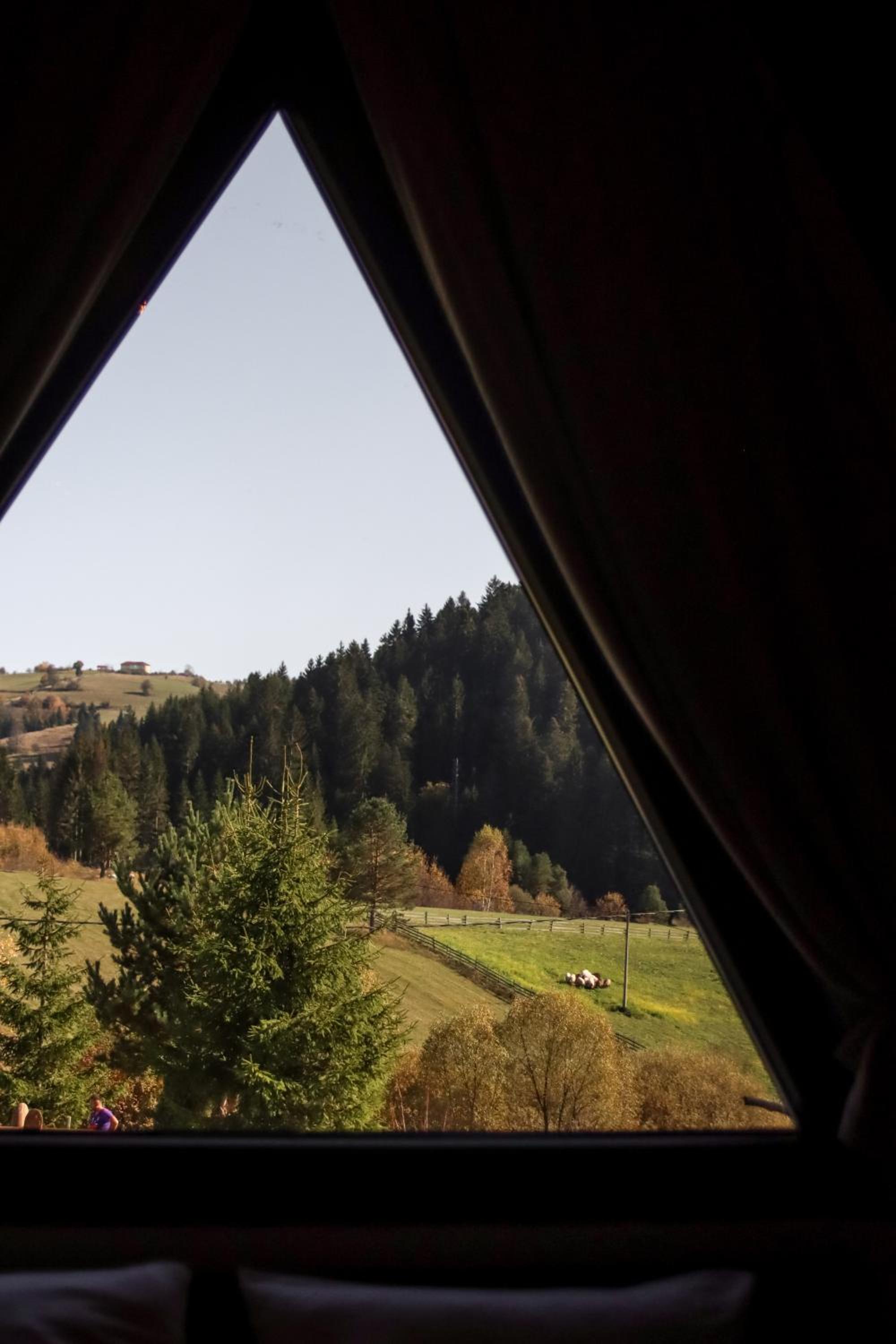 Forest House Bukva