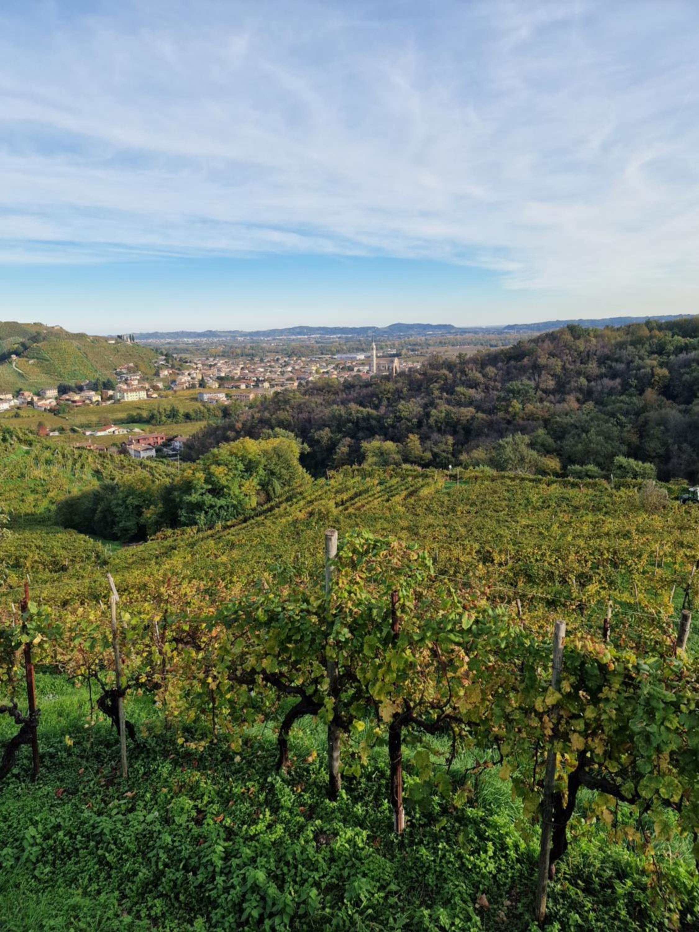 Agriturismo Borgo Riva Granda