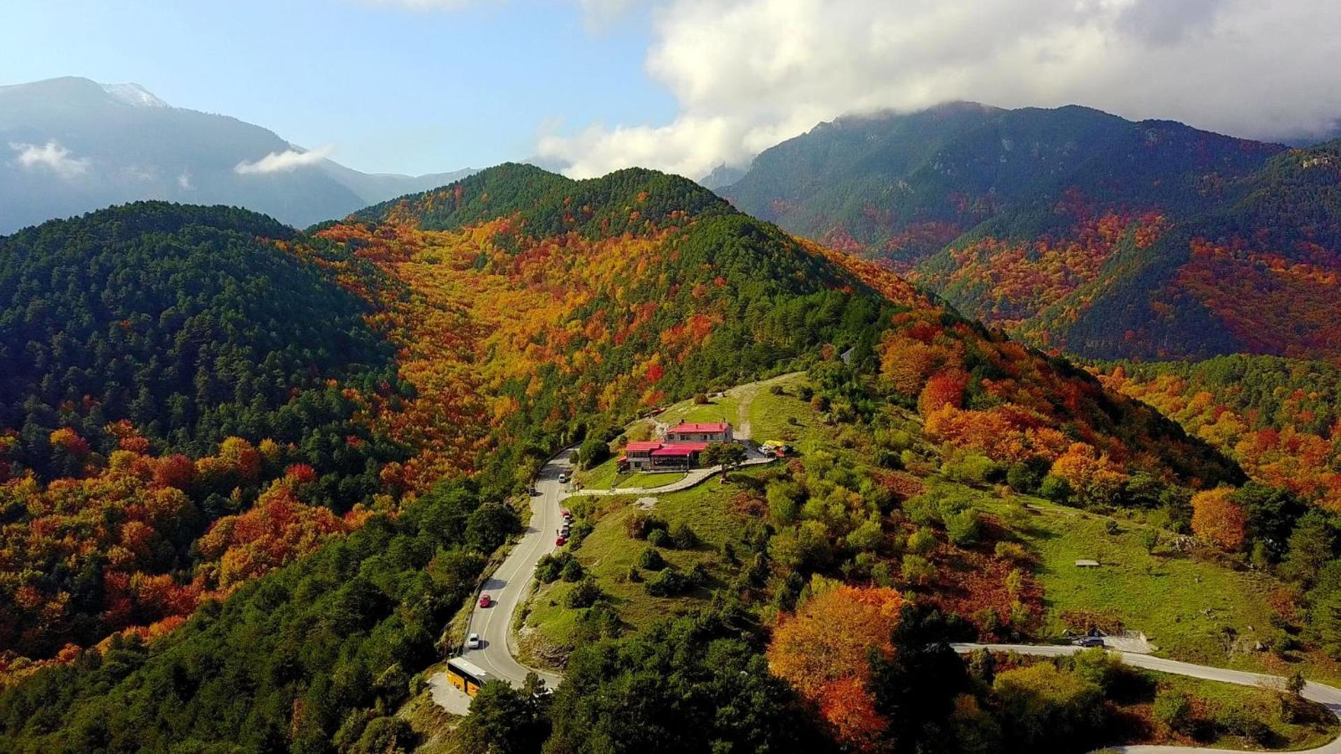 Χαμένος στον παράδεισο