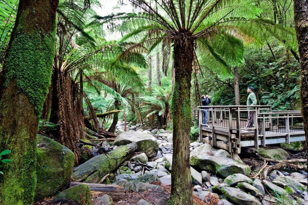 Watershack - Expansive ocean views, close to town