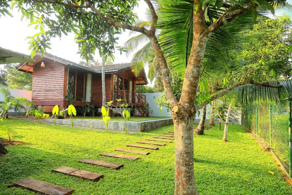 Oasis cabanas view 5