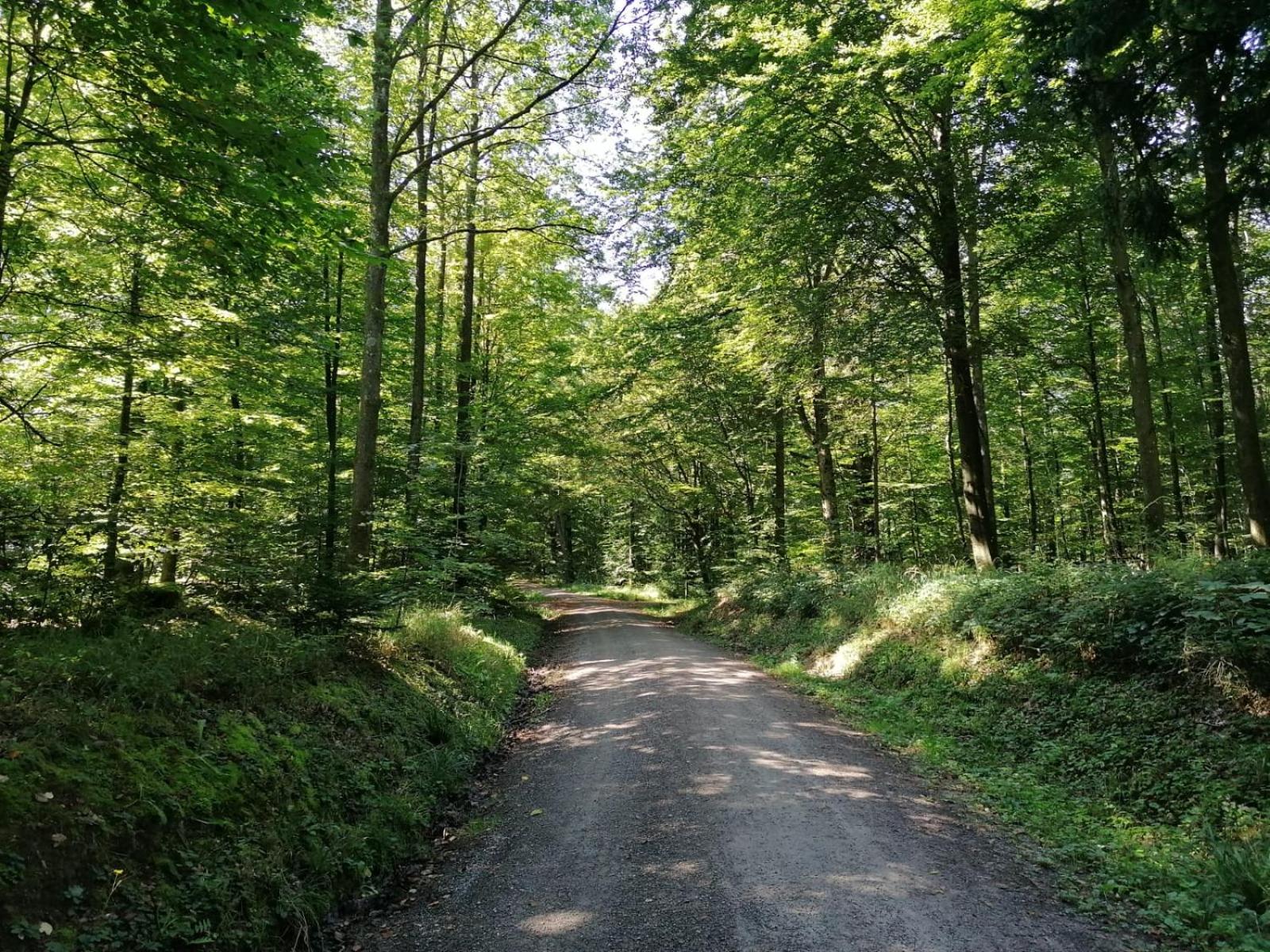 Ferienwohnungen Brack in Gaggenau