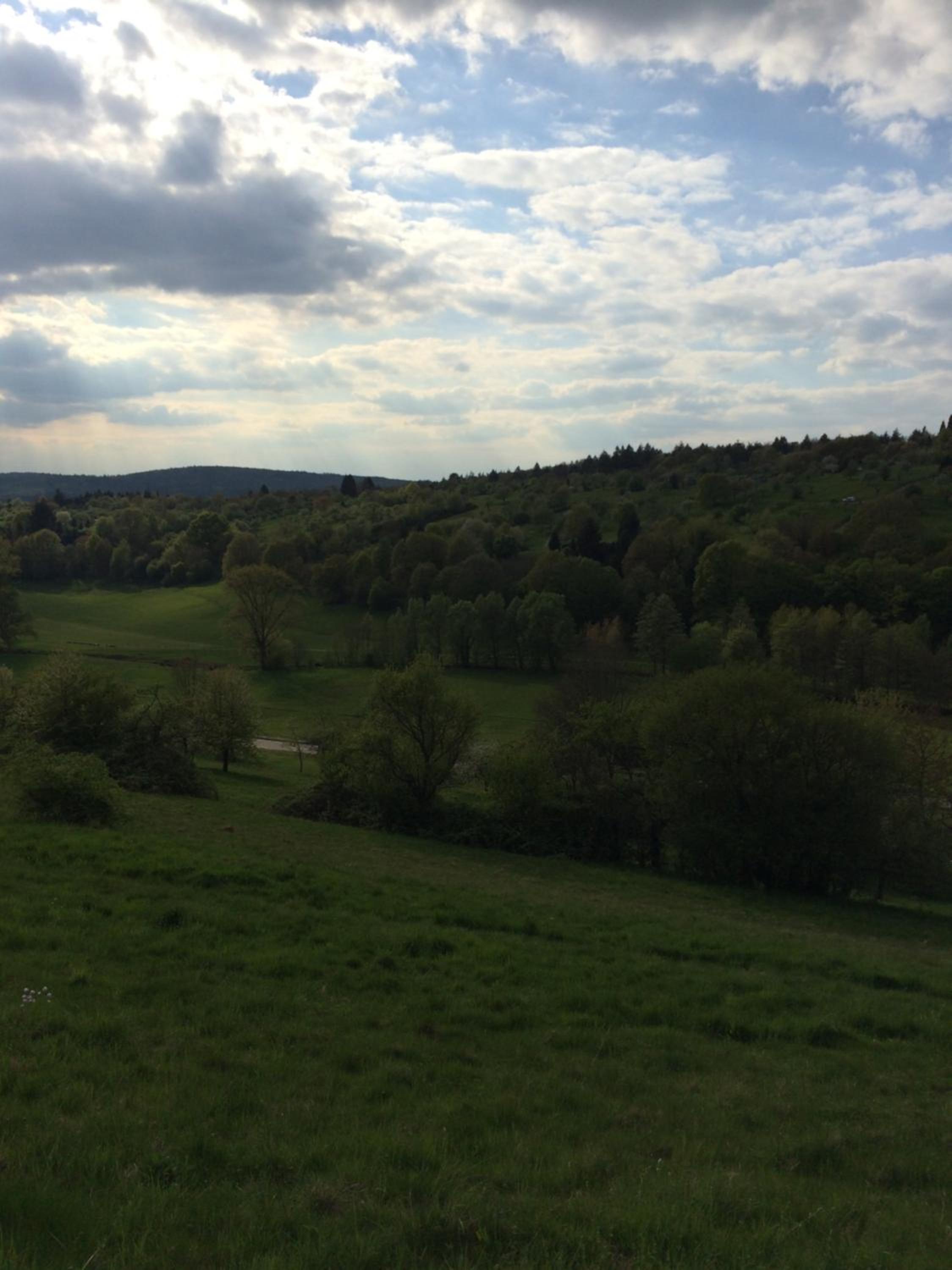 Ferienwohnungen Brack in Gaggenau