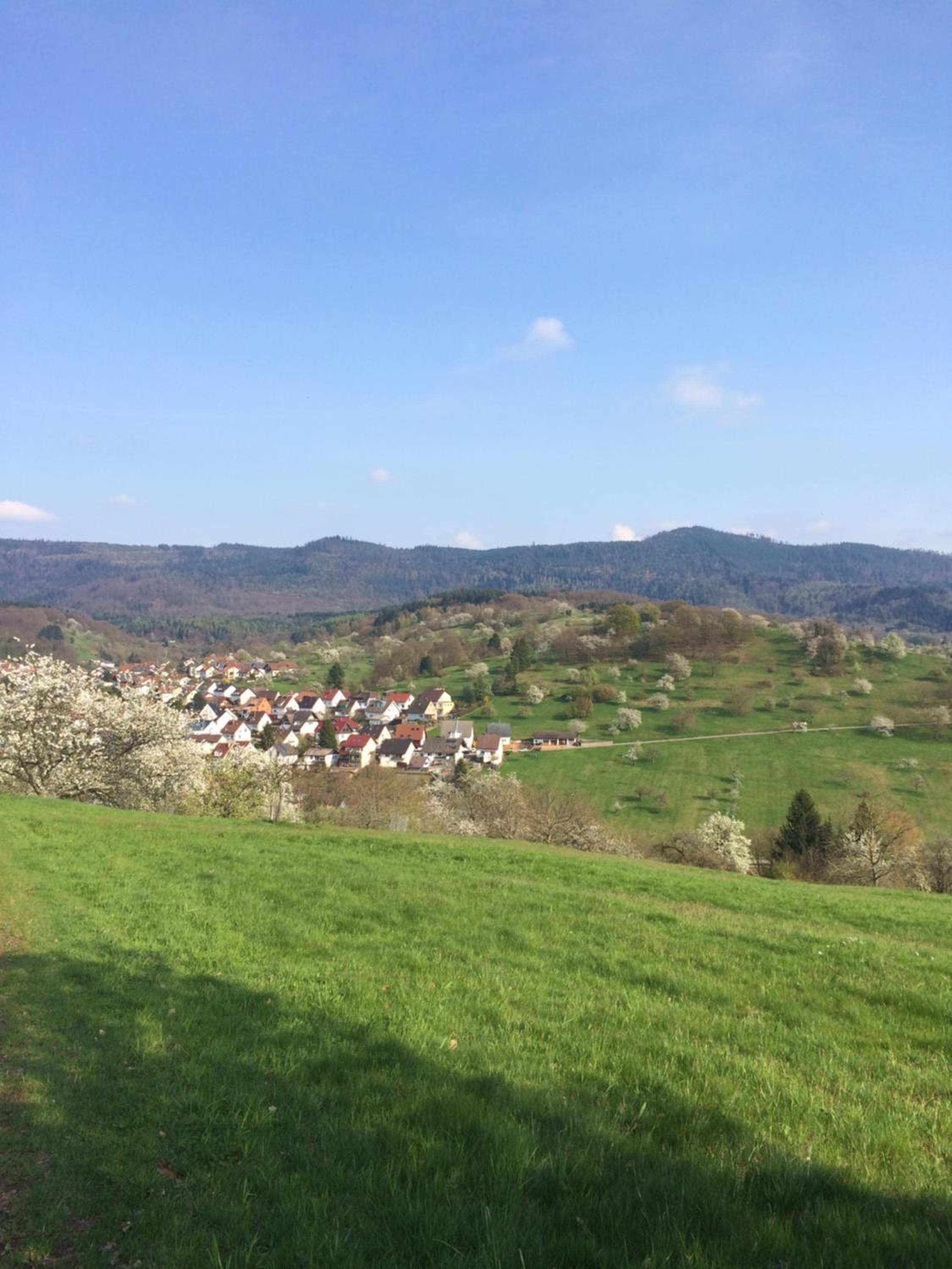 Ferienwohnungen Brack in Gaggenau