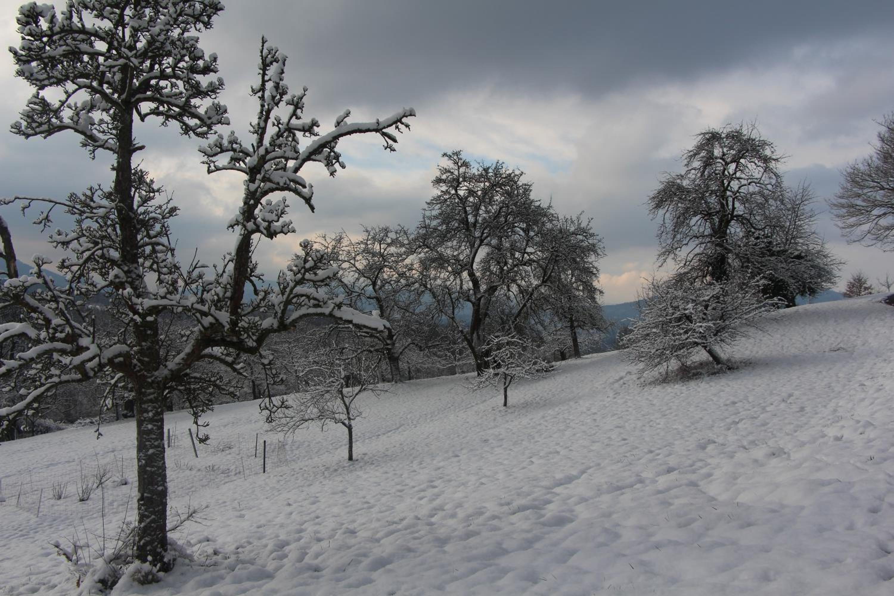 Ferienwohnungen Brack in Gaggenau