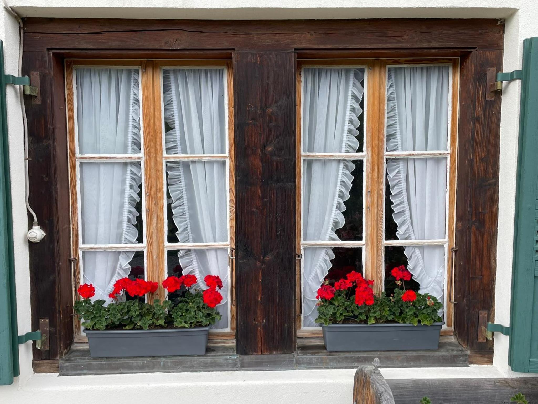 Enzian 4 Zi Ferienwohnung in Landhaus