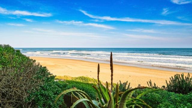 Milkwood Beach Apartment view 2