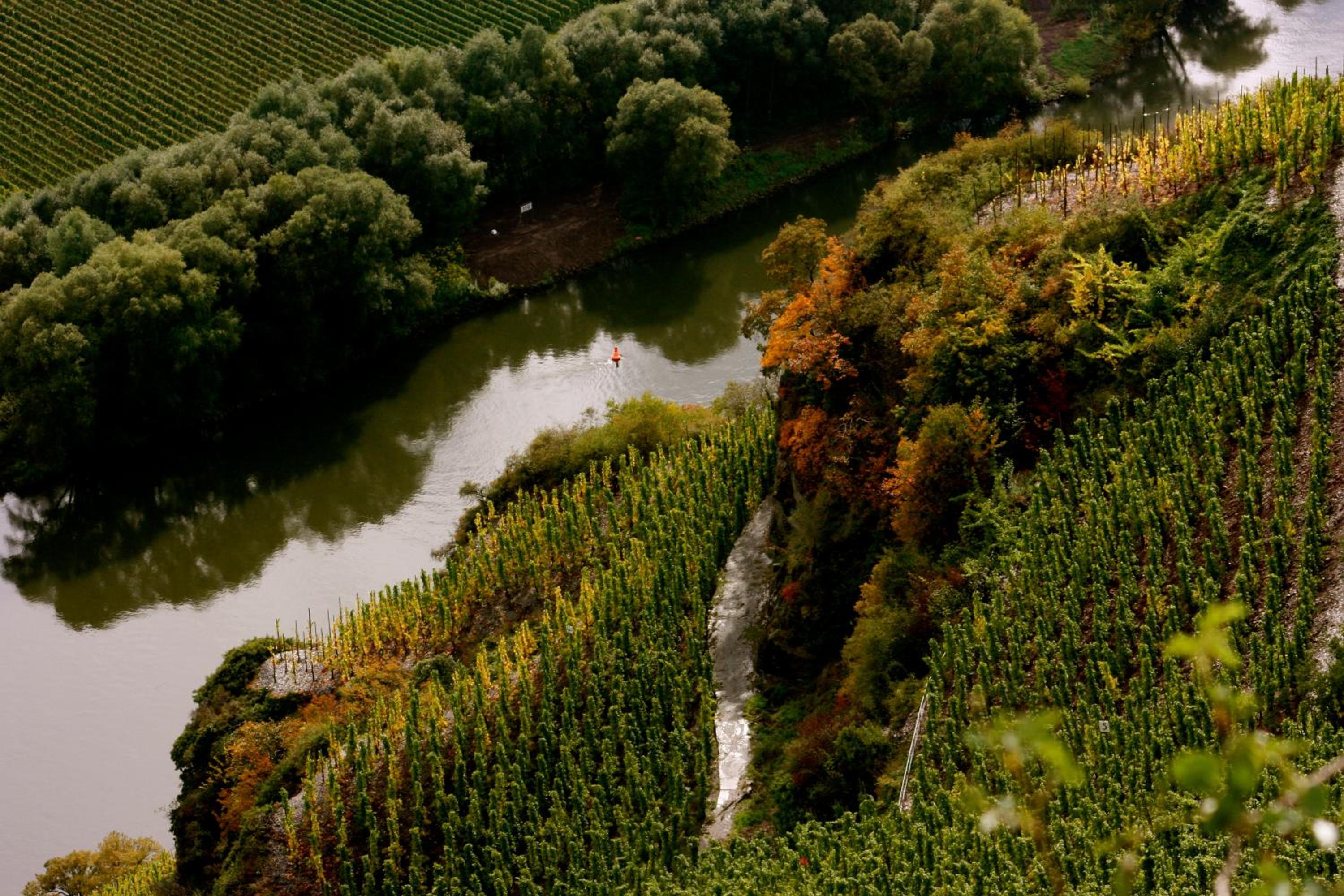 Bio-Weingut Staffelter Hof