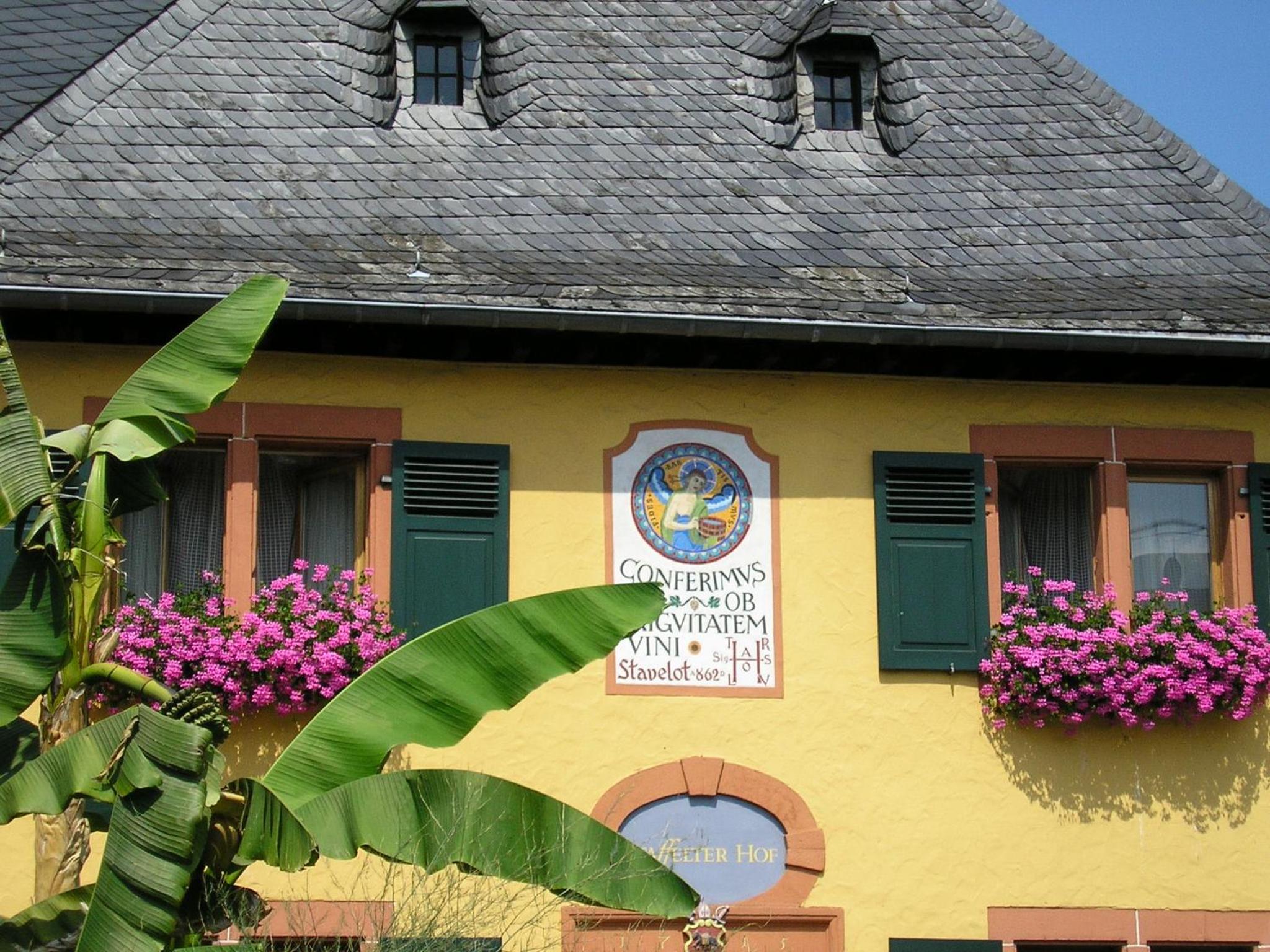 Bio-Weingut Staffelter Hof