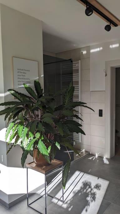 Ferienwohnung Sorgenfrei