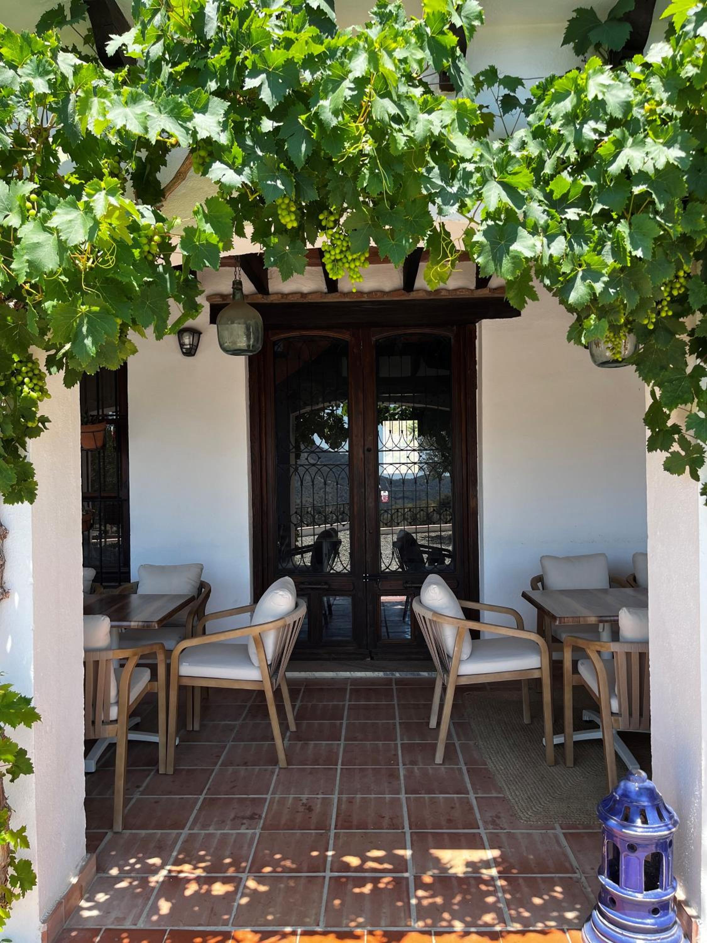 Luxury Wellness Villa with Pool Yoga Studio & Hammam for 14p & 40 min to Malaga city