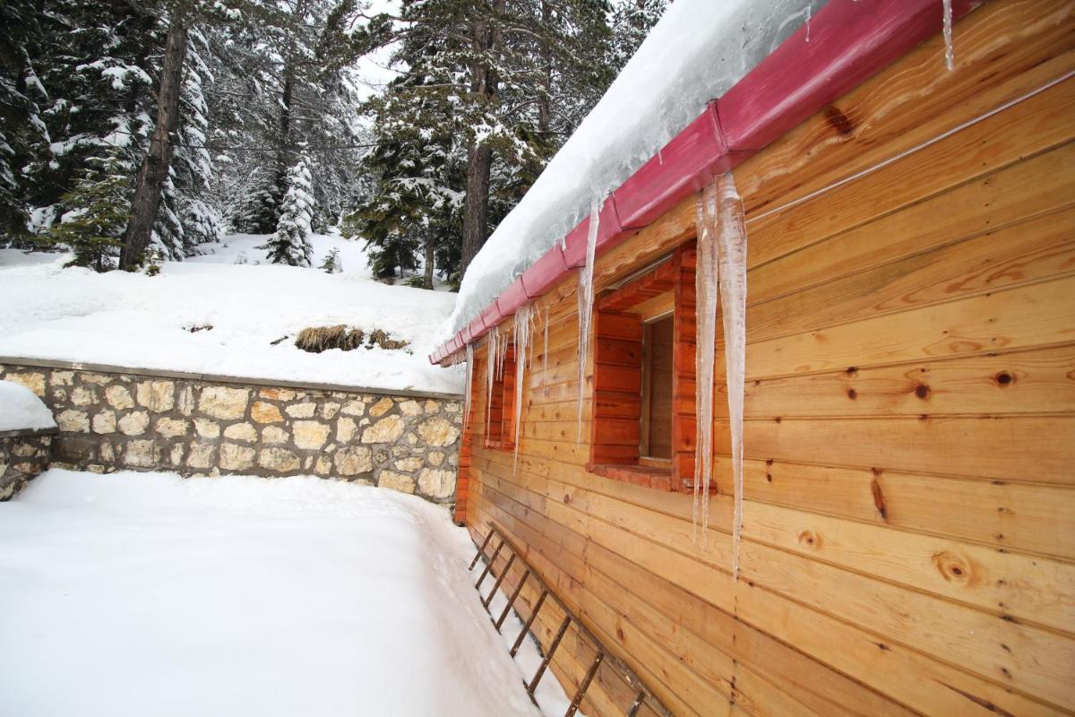 outdoor BBQ area