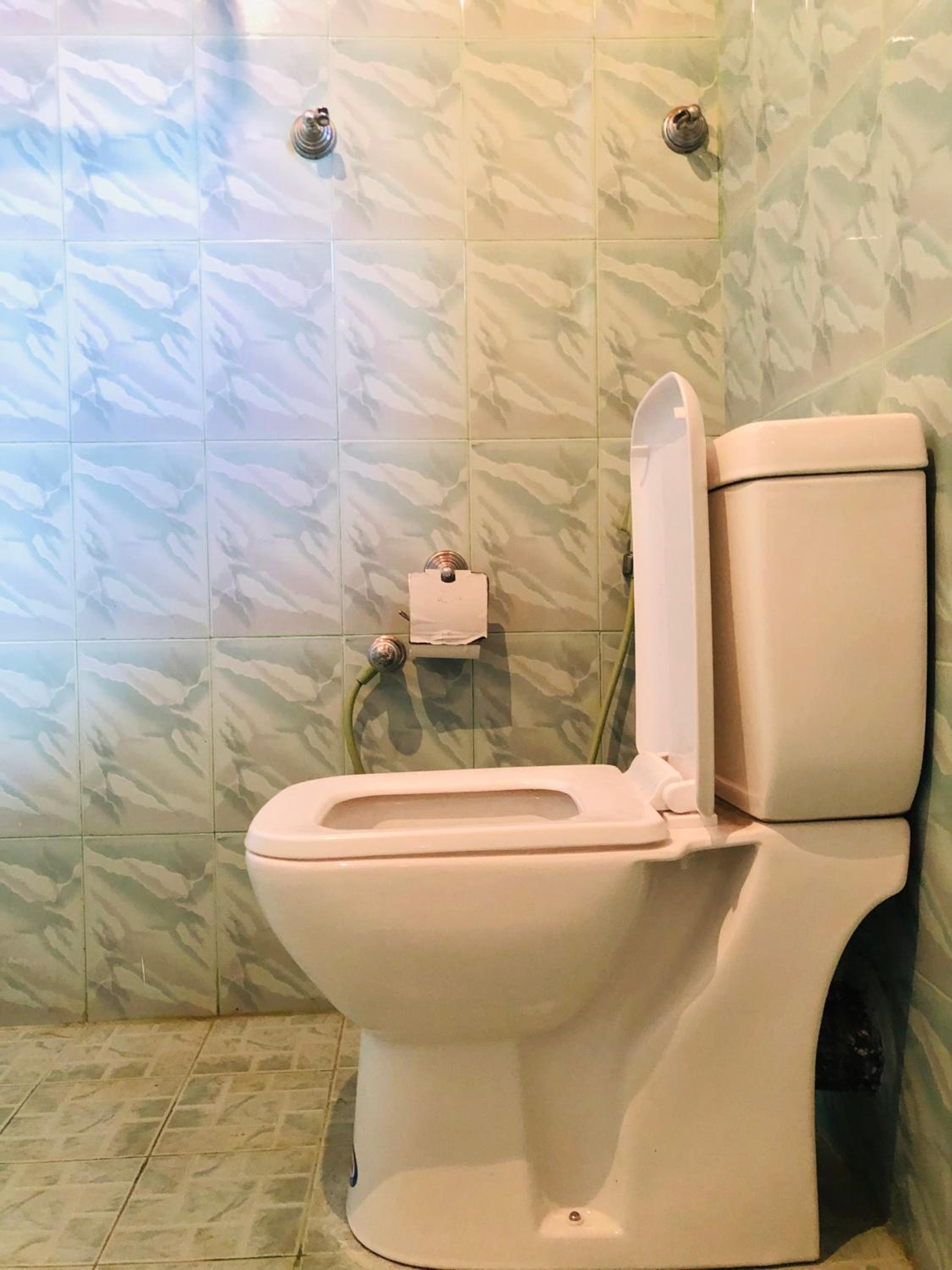 Goyambokka Richard Home Stay view 4