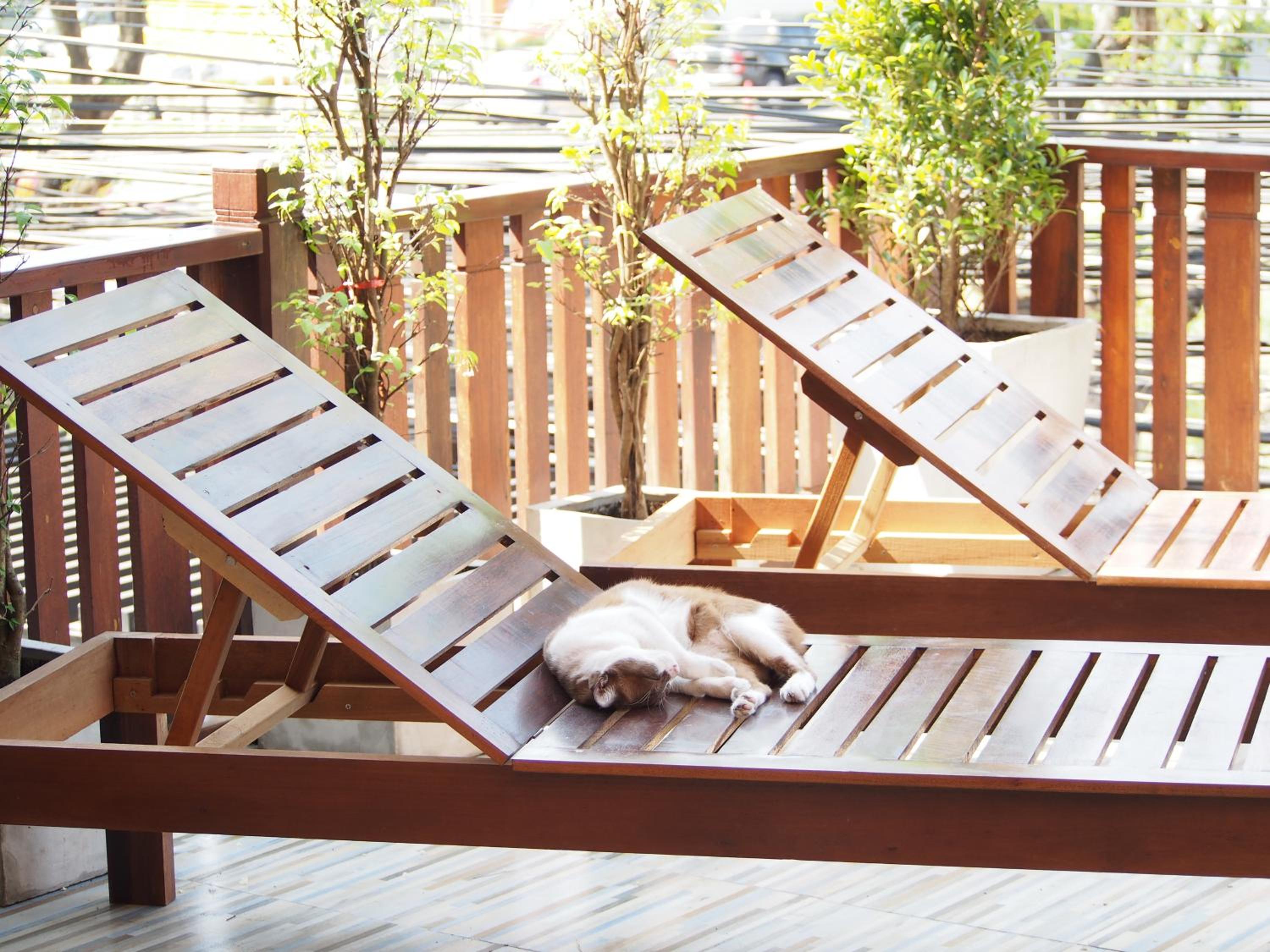 Chommuang Guest House