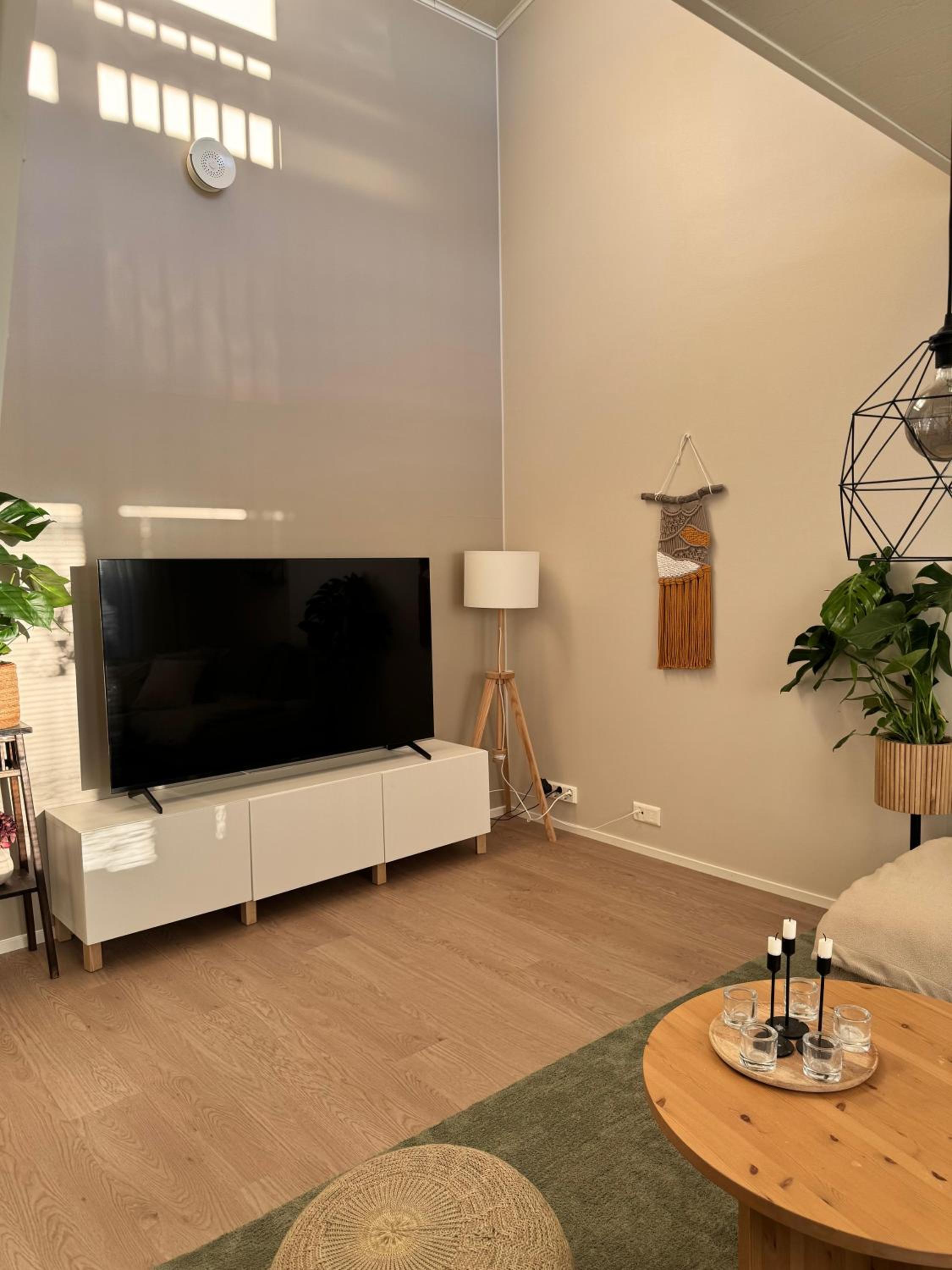 Cozy Home