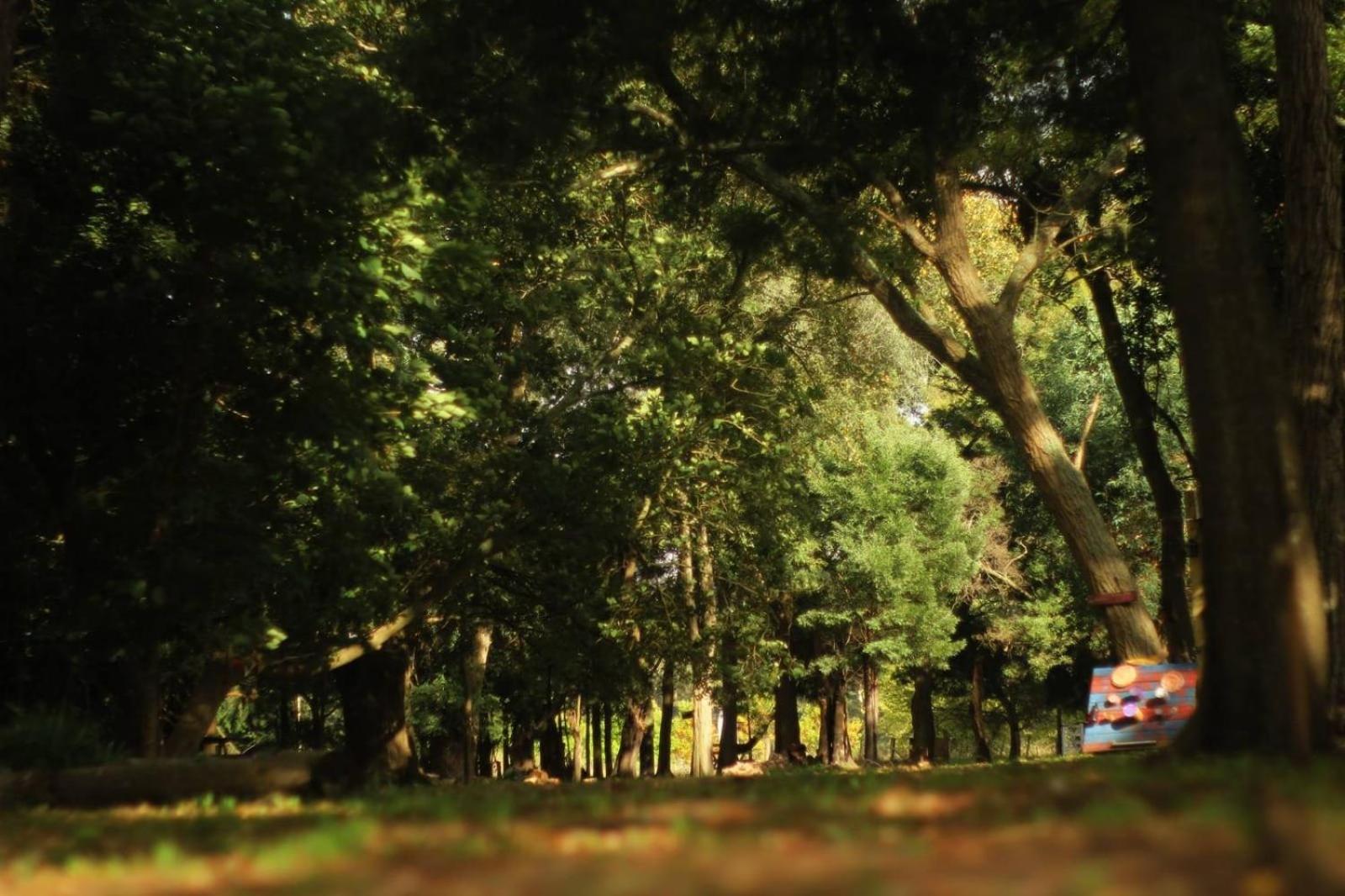 Puilquen Posada de Campo - CAMPING