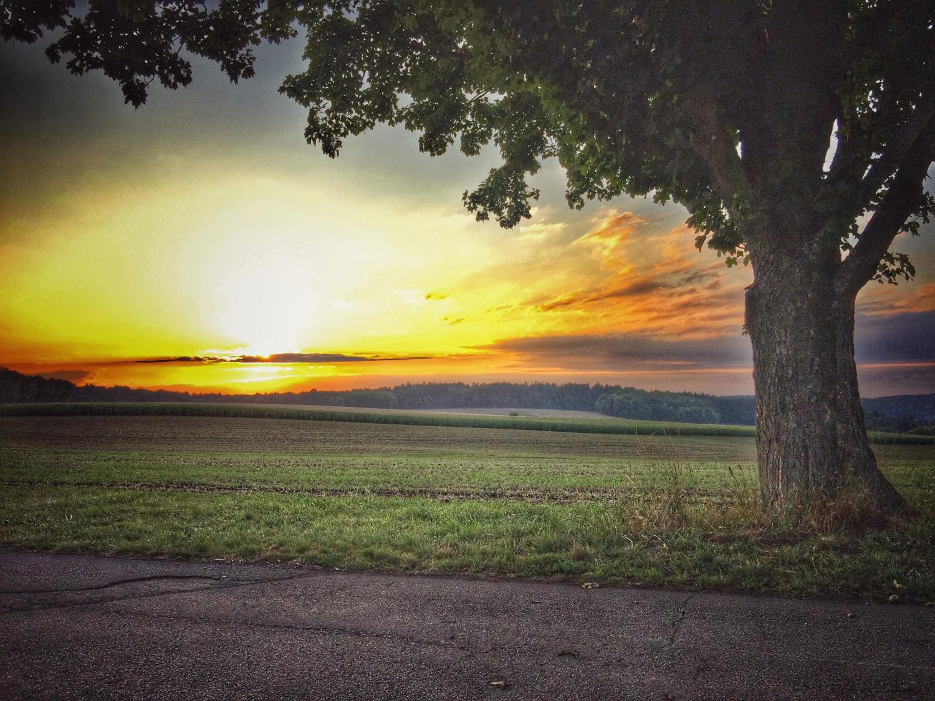 Pension Schenks Landgasthof view 3