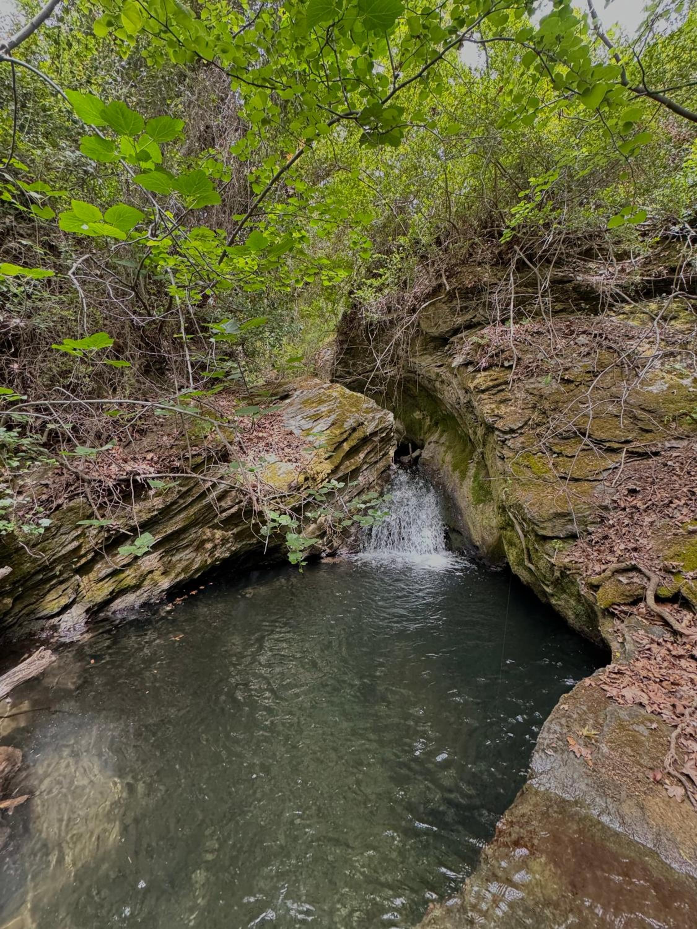 Mylos Nature Retreat