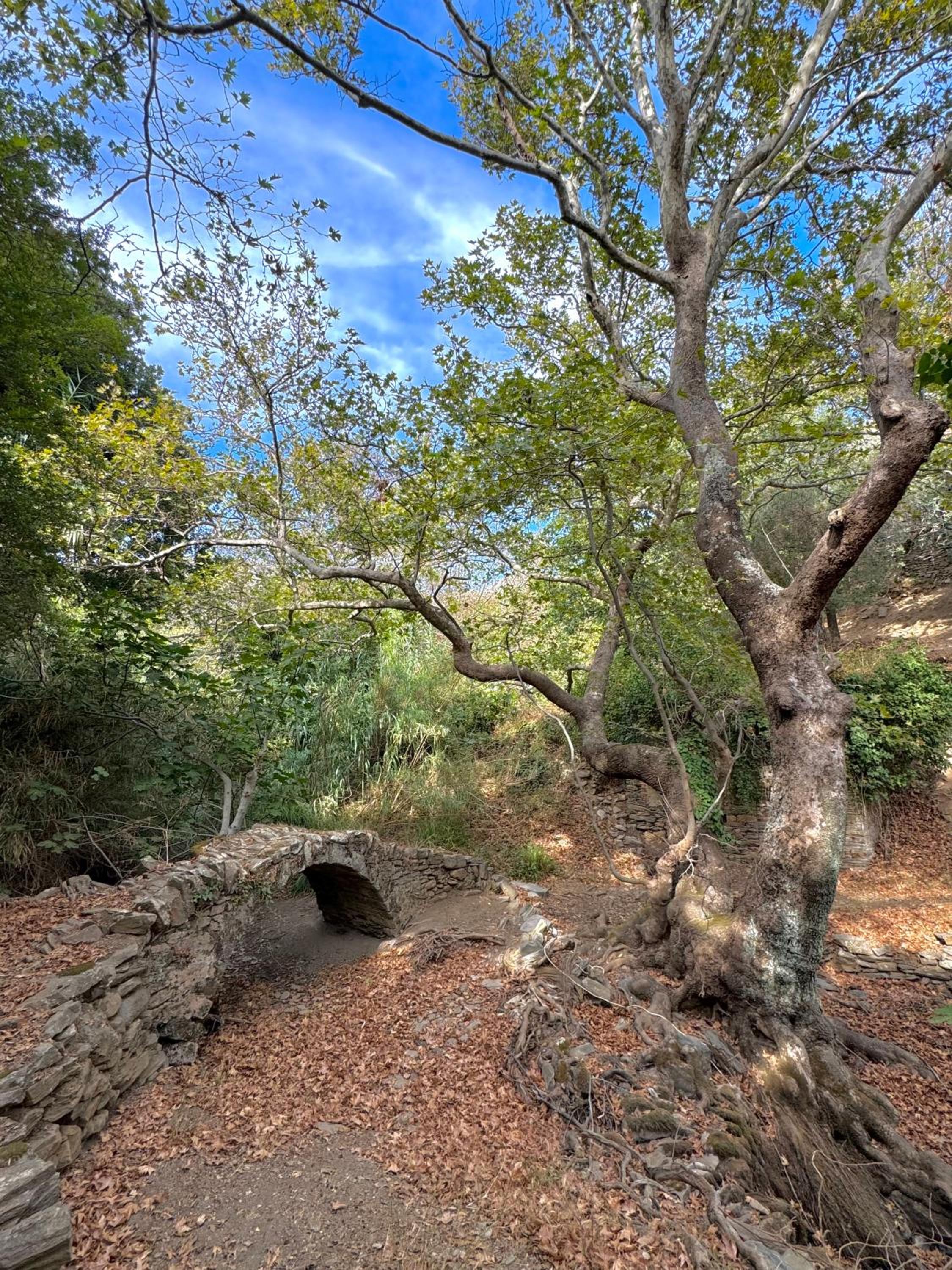 Mylos Nature Retreat
