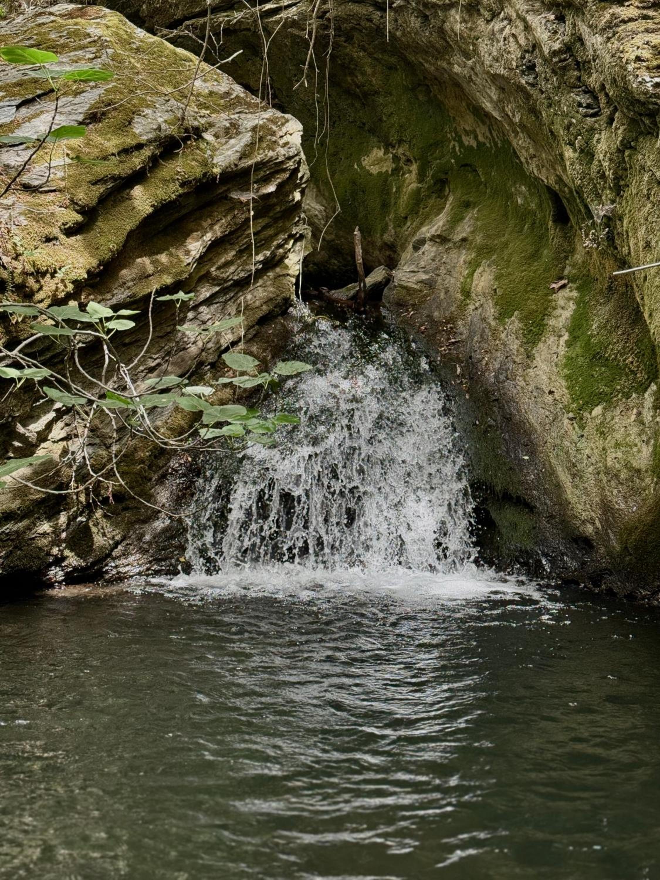 Mylos Nature Retreat