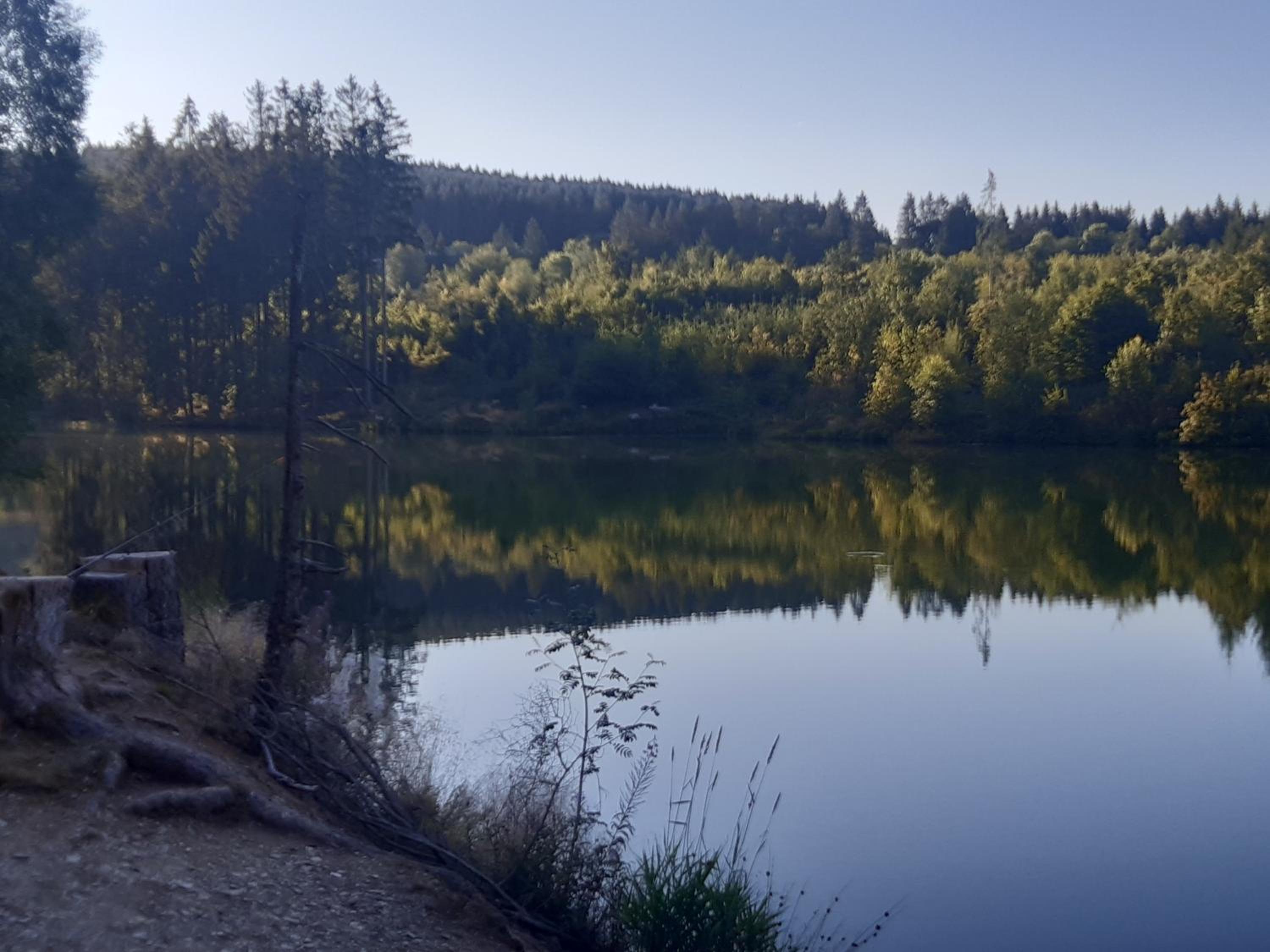 Harz-Forest-Inn