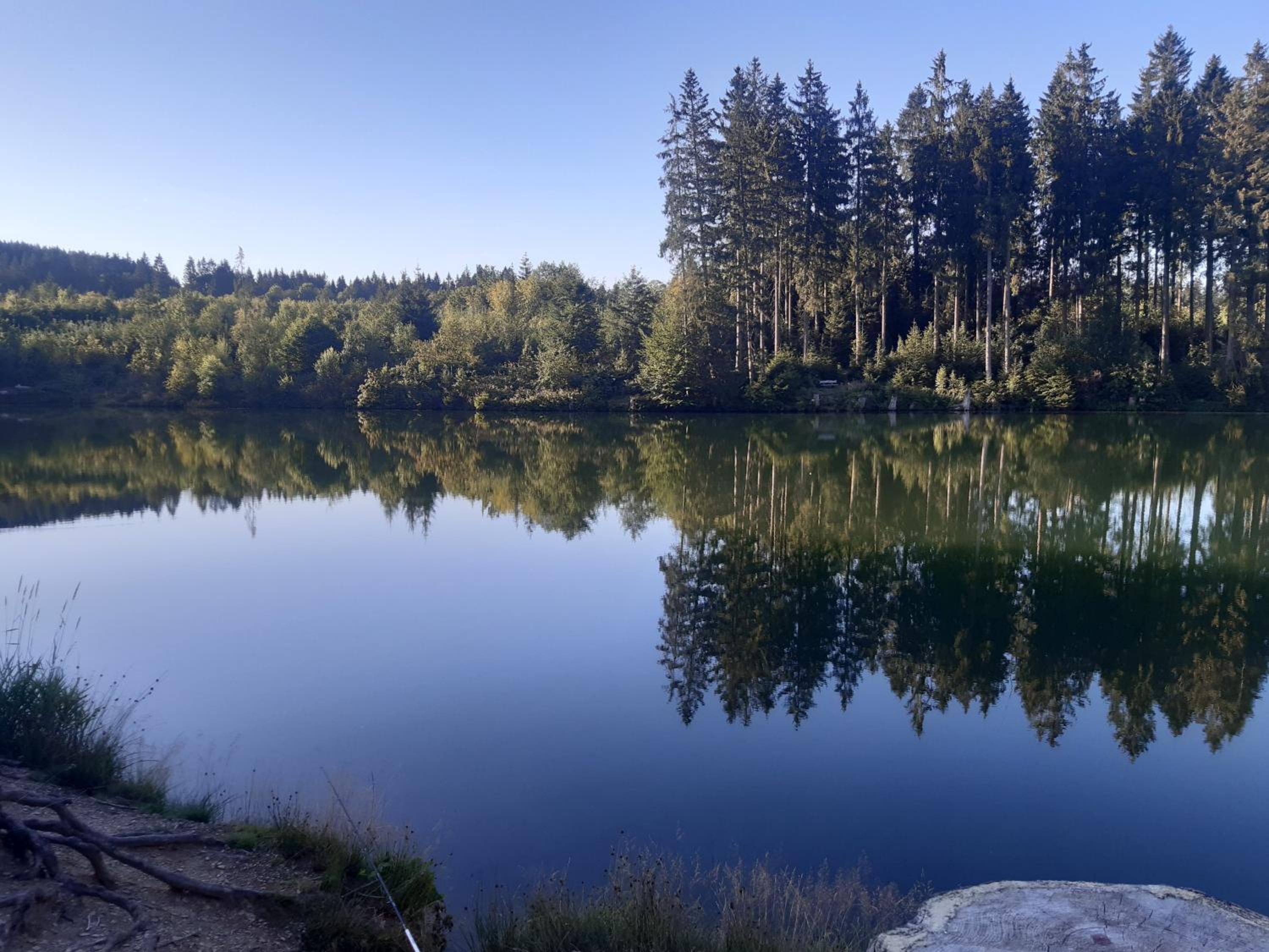 Harz-Forest-Inn