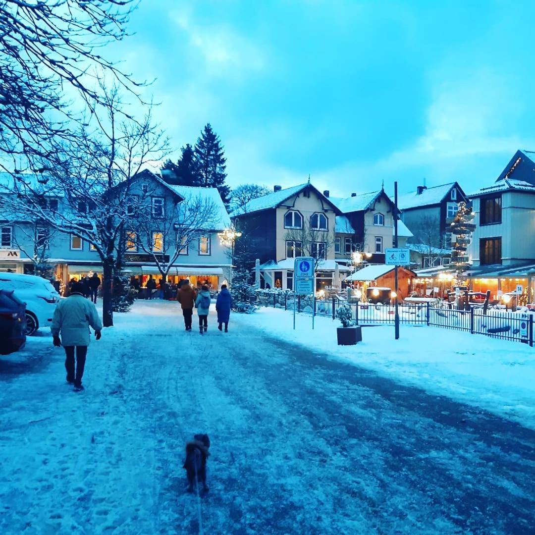 Harz-Forest-Inn