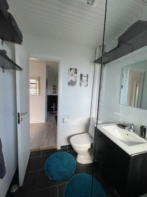 Feriehus i lille lokalsamfund