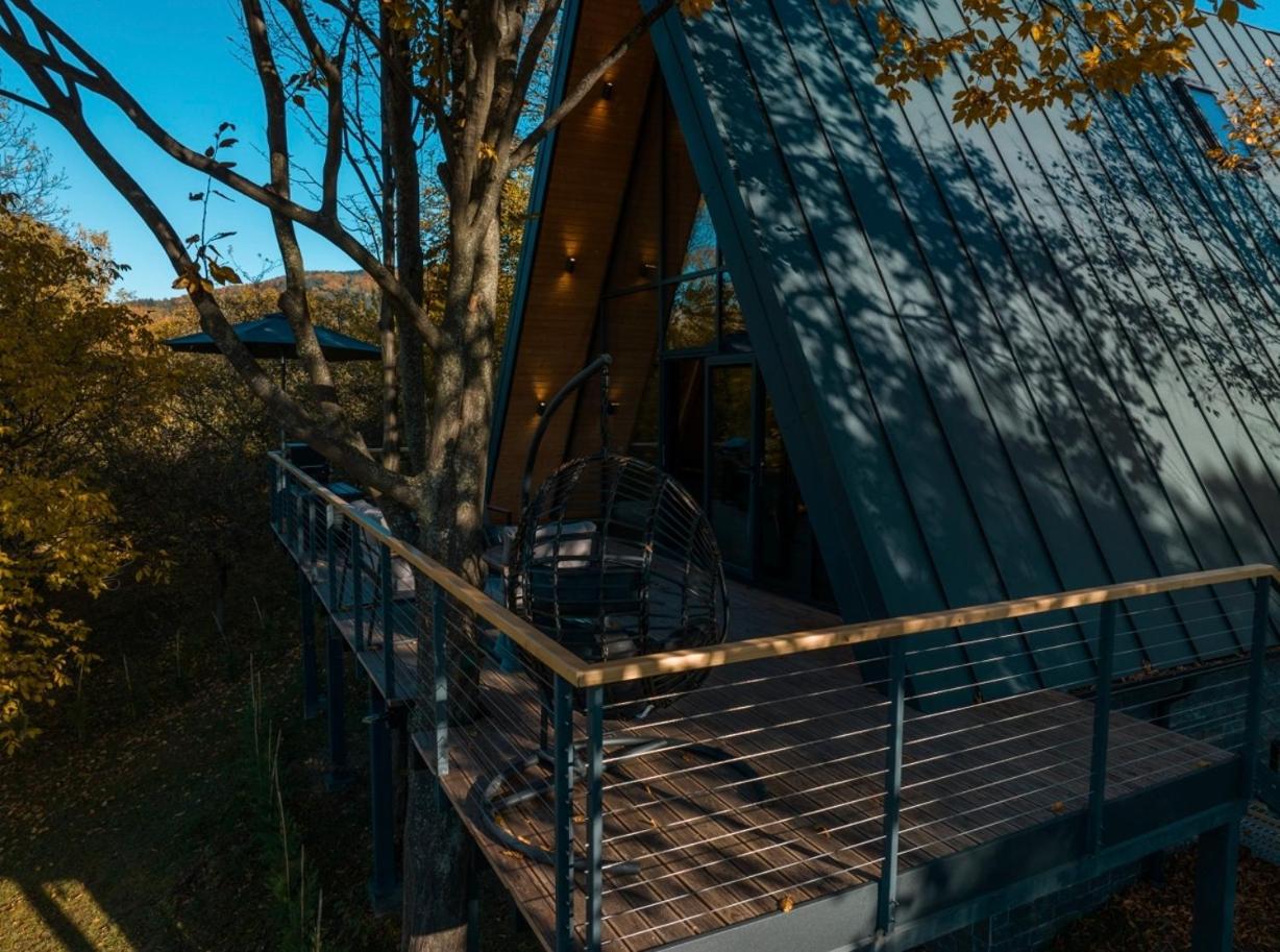 AHA Cabin view 3