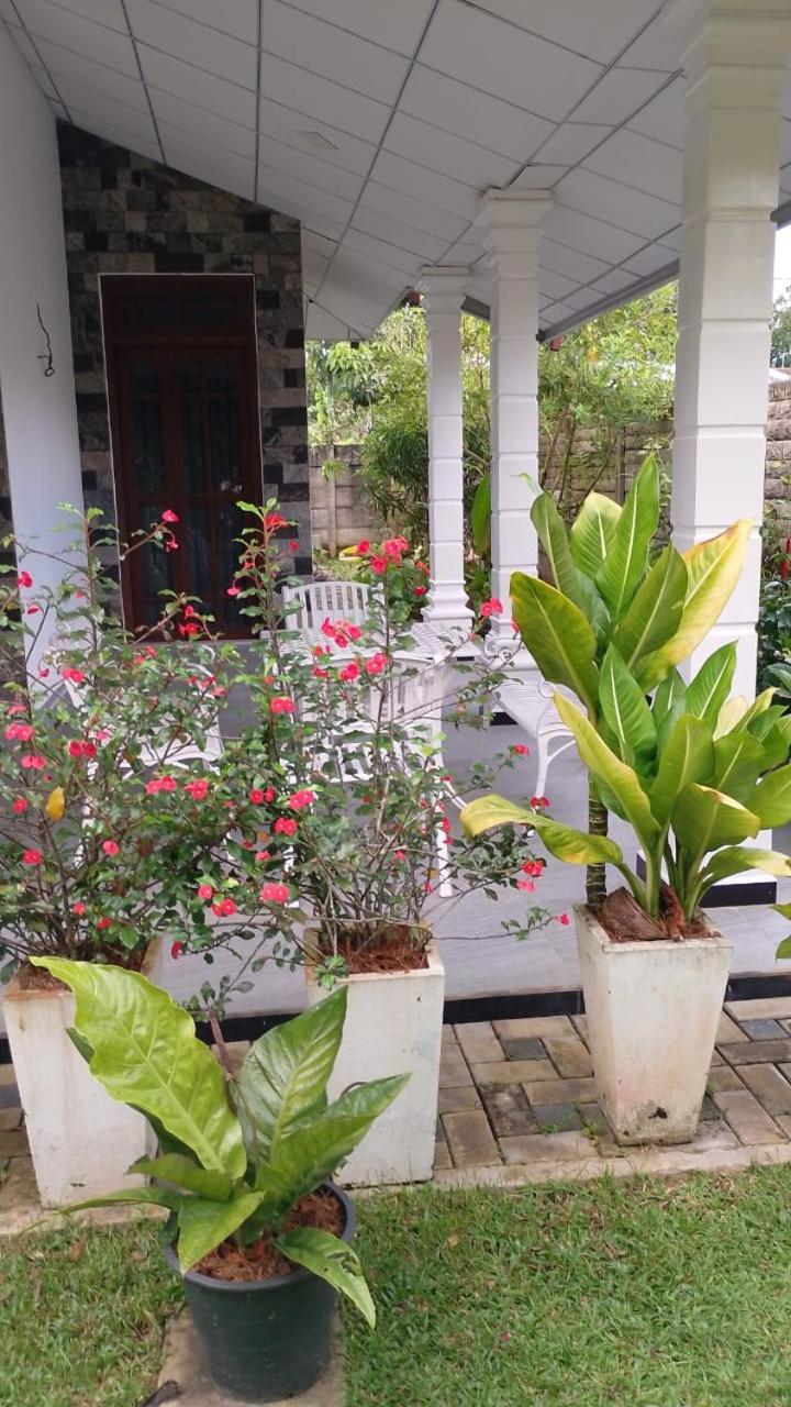 Suriya Homestay
