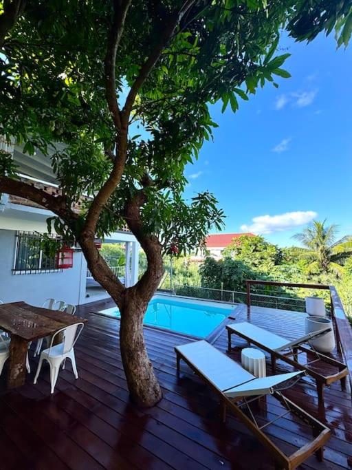 Designer Garden Apartment