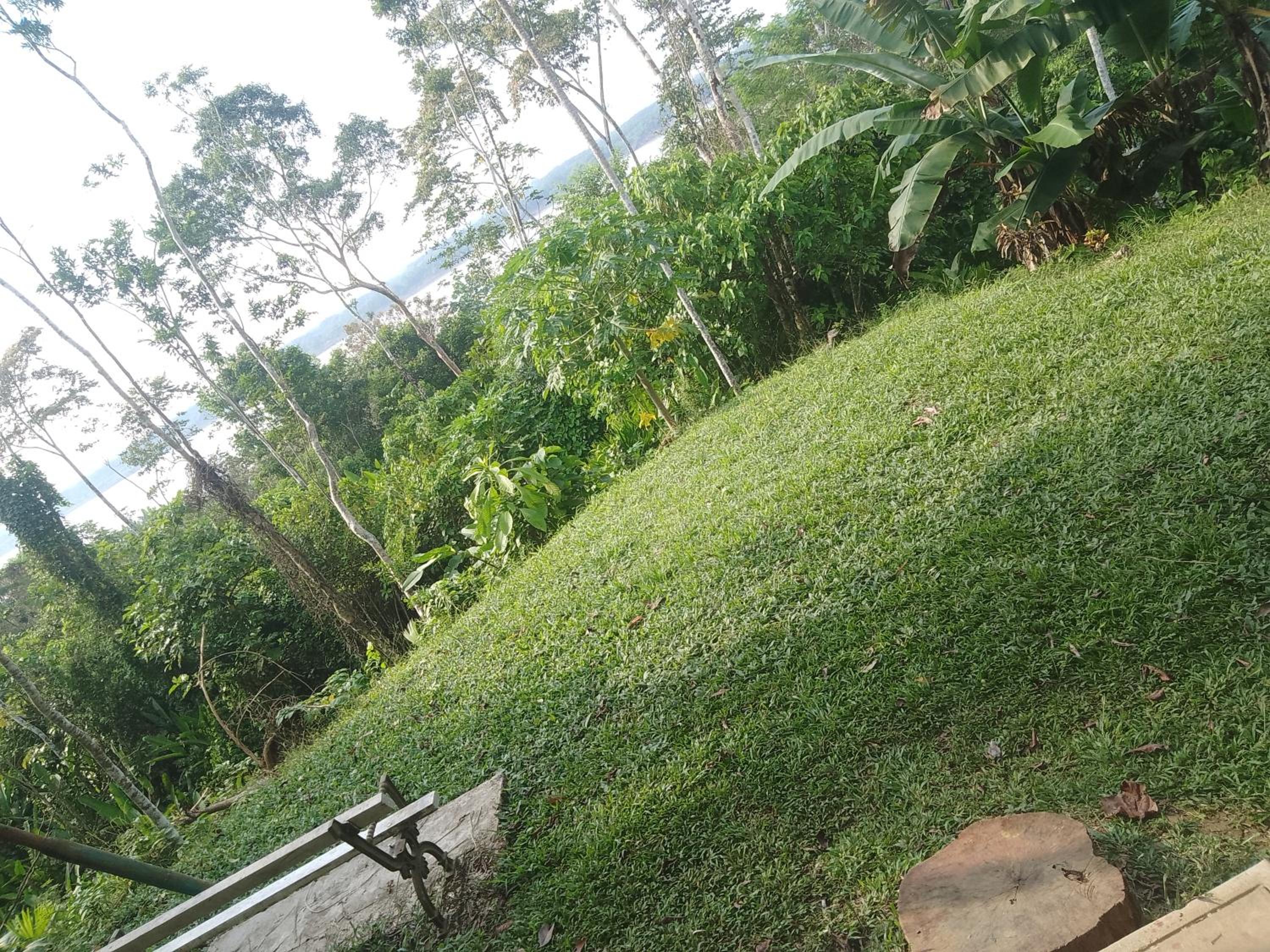 Alojamiento la Punga Amazonas