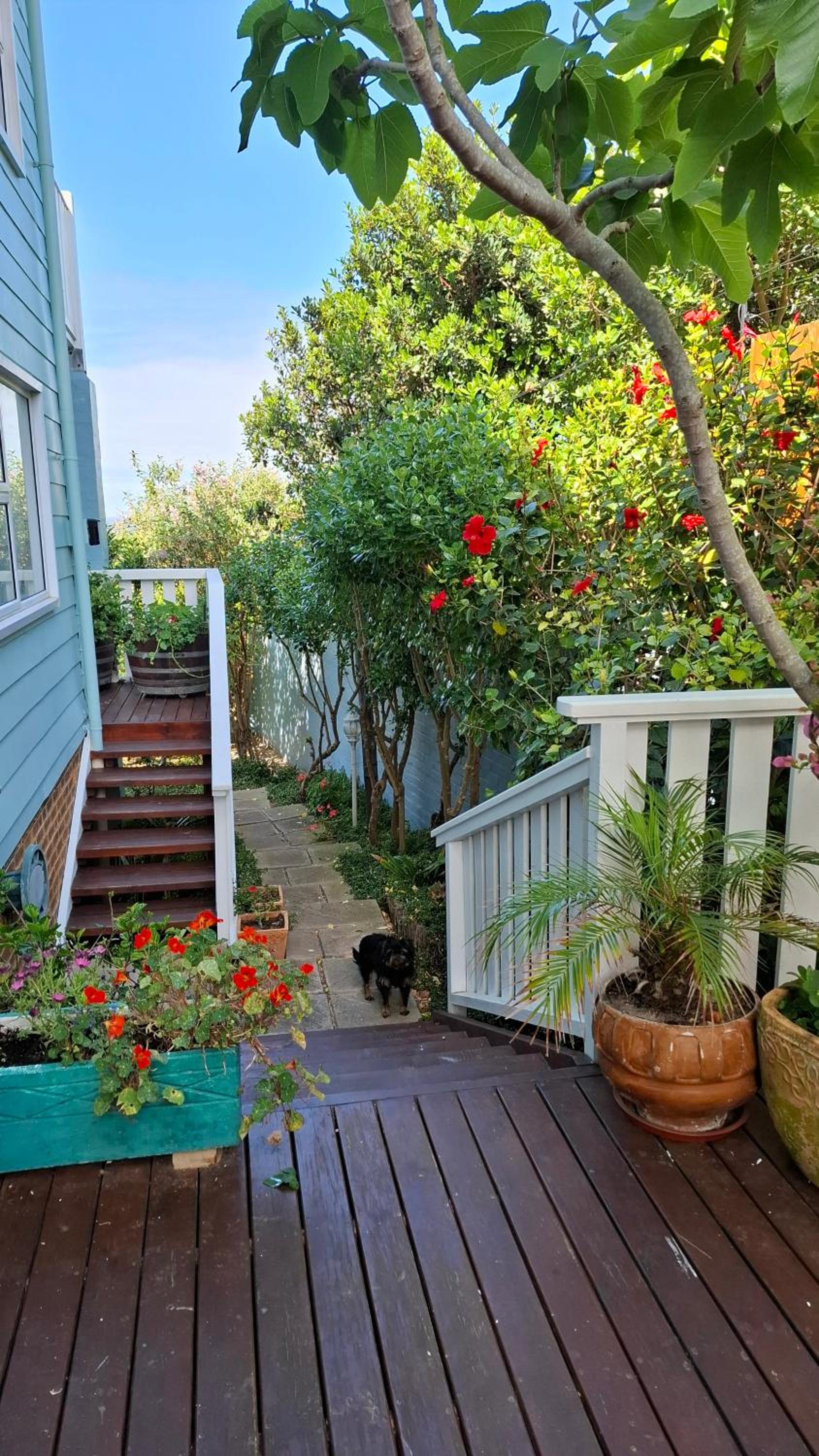 Belle Vue Guesthouse