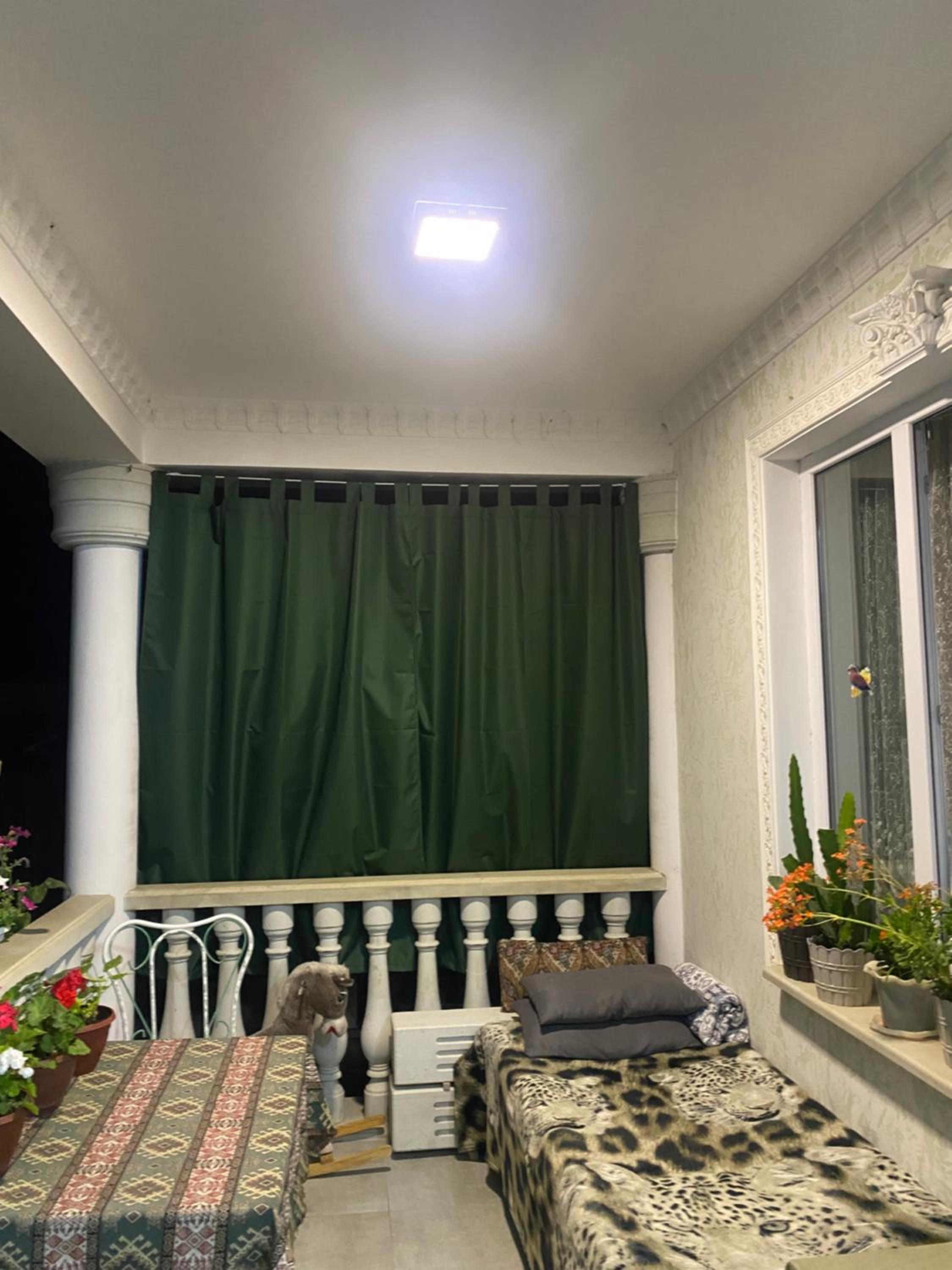 Green House