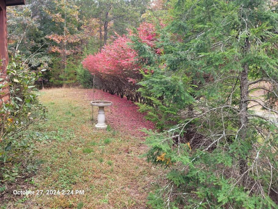 Get-away Cabin - Property Image 4