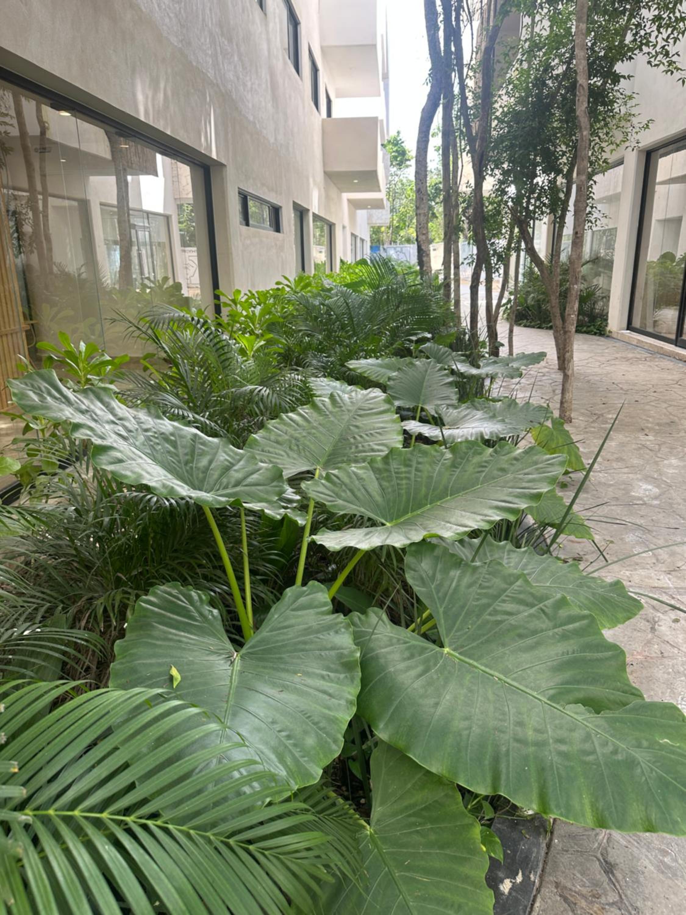Green view