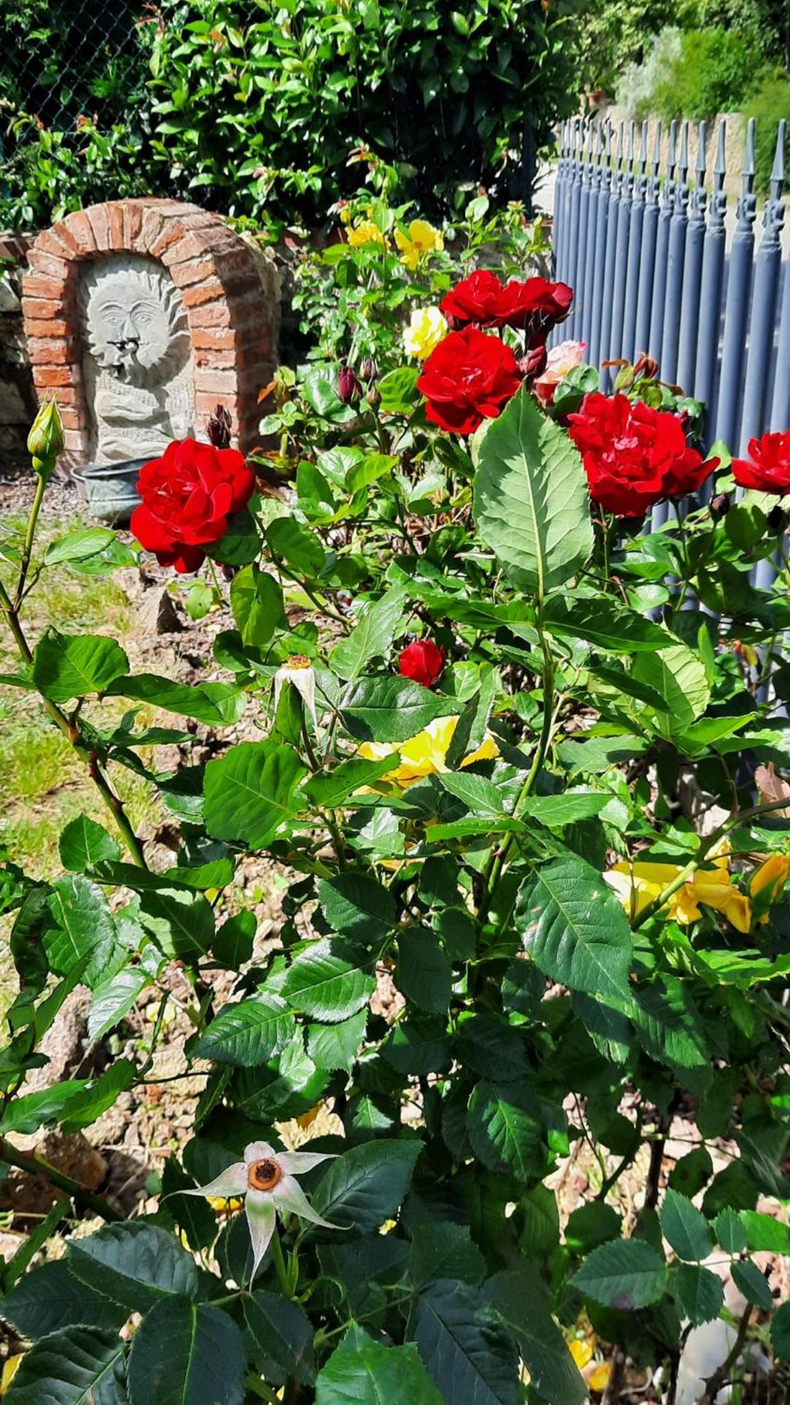 Photo 44