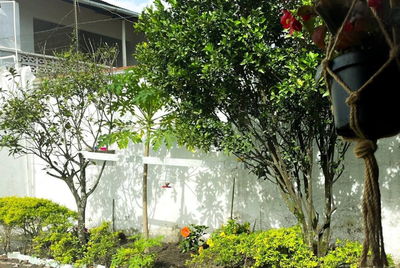 Casa Turística la Villa de Poli